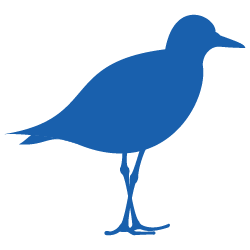 Plover Finance