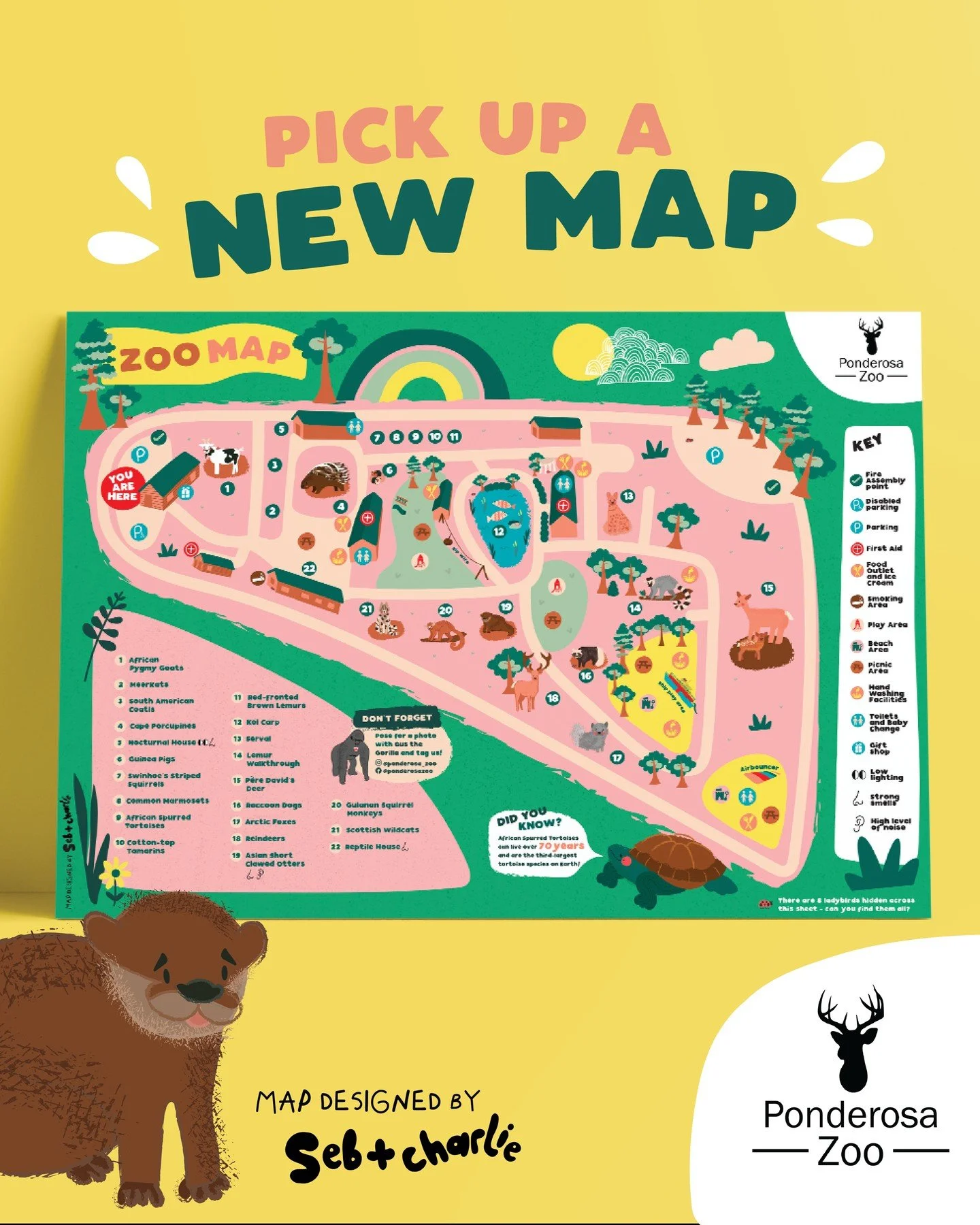 Lovely designing and illustrating the new map for @ponderosa_zoo 

🐢🐒🐐🦍🐠🐾🌿

#mapdesign #illustration #playfuldesign #design