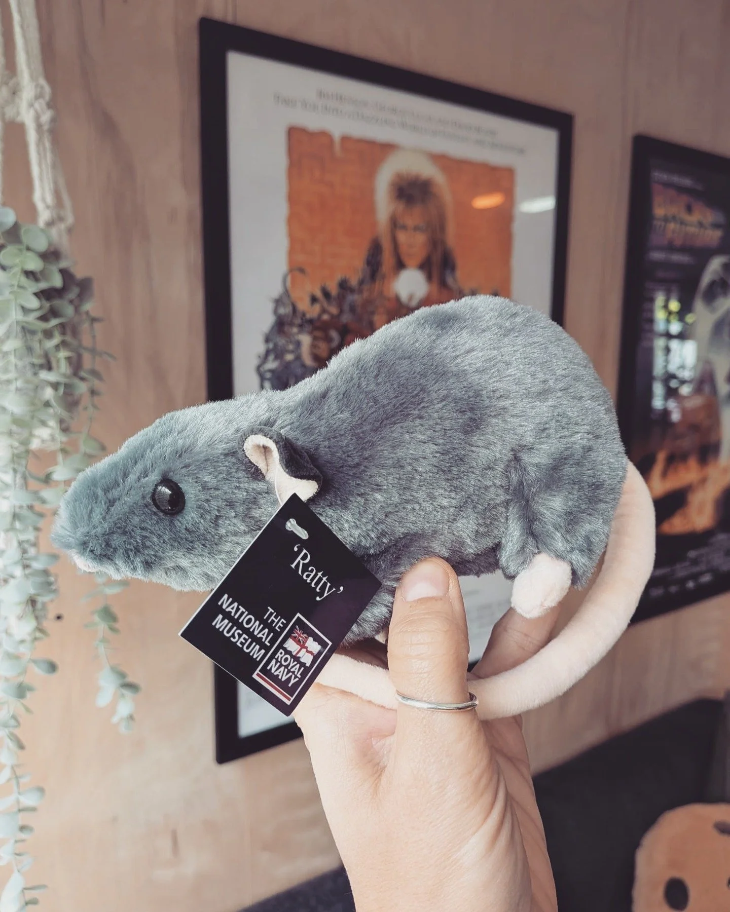 RATTY 🐀 has arrived! (thank you Lesley-Anne!)

I'm working with @natmuseumrn on a new project - Exciting things are coming! Watch this space 👀

#playfuldesign #learning #learnthroughplay #storytime #playtime