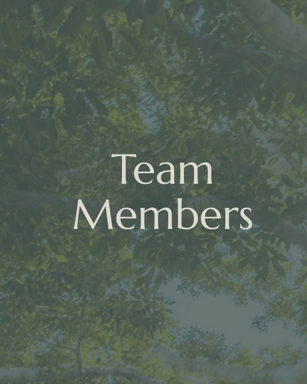 🌳 Meet the Cove Counselling &amp; Co. Team⁠
⁠
We&rsquo;re a warm, supportive group of counsellors and healing practitioners who each run our own practice&mdash;but come together as a collaborative community. If you&rsquo;re looking for a space that 