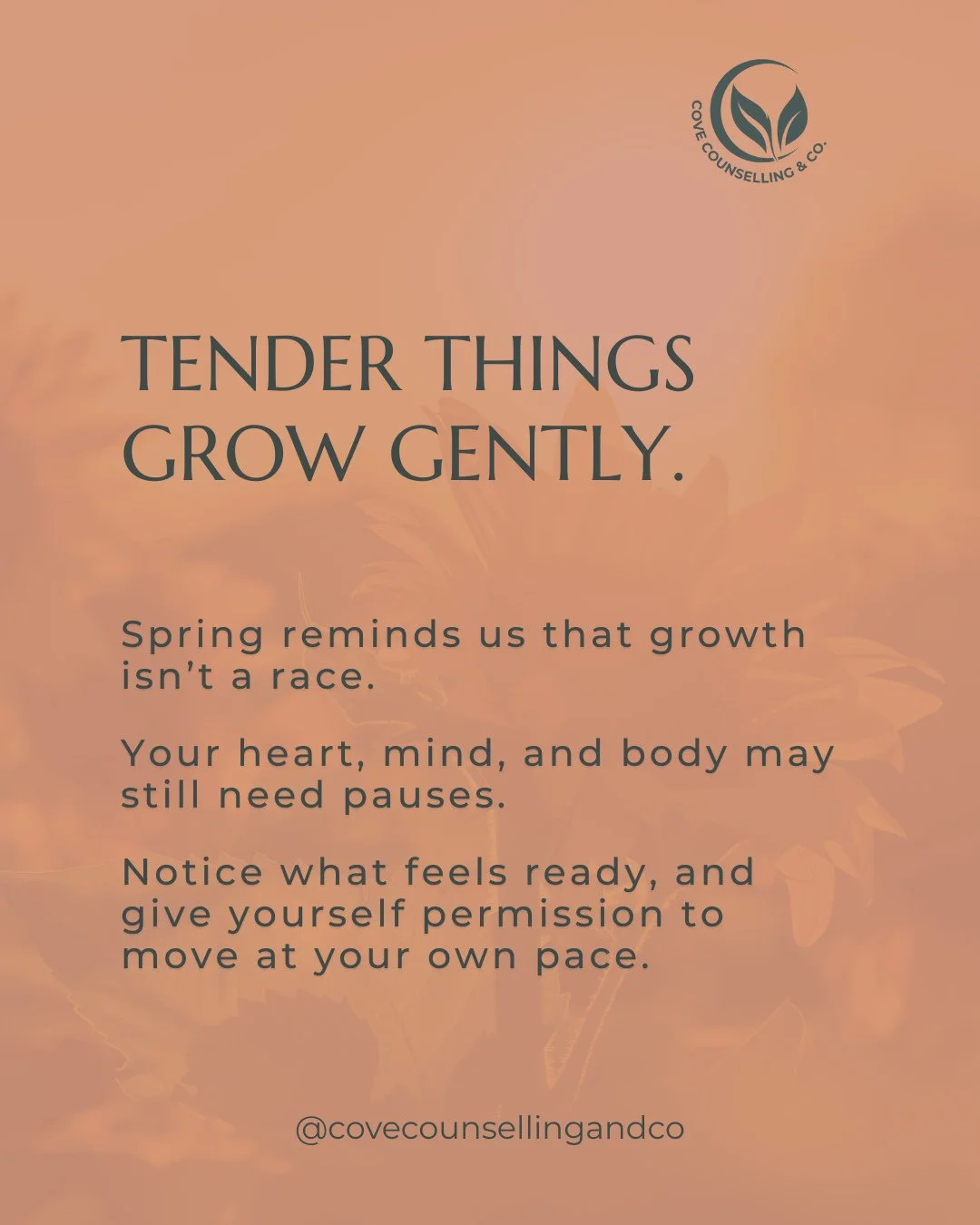 Growth doesn&rsquo;t respond well to pressure.⁠
⁠
Tender things grow gently, people included. Spring isn&rsquo;t a race, and neither are you.⁠ 💜⁠
⁠
#HealingAtTheCove #CoveCounselling #CoveCounsellingandCo⁠
#MentalHealthMatters #MentalHealthAwareness