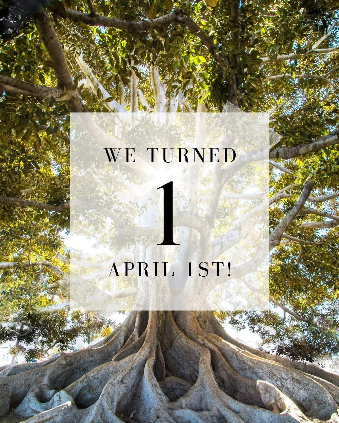 One year of Cove Counselling &amp; Co 🌿🎉⁠
⁠
We&rsquo;re so grateful for our first year of holding space, supporting clients, and building a community rooted in care, connection, and healing.⁠
⁠
We&rsquo;re especially thankful for the beautiful team