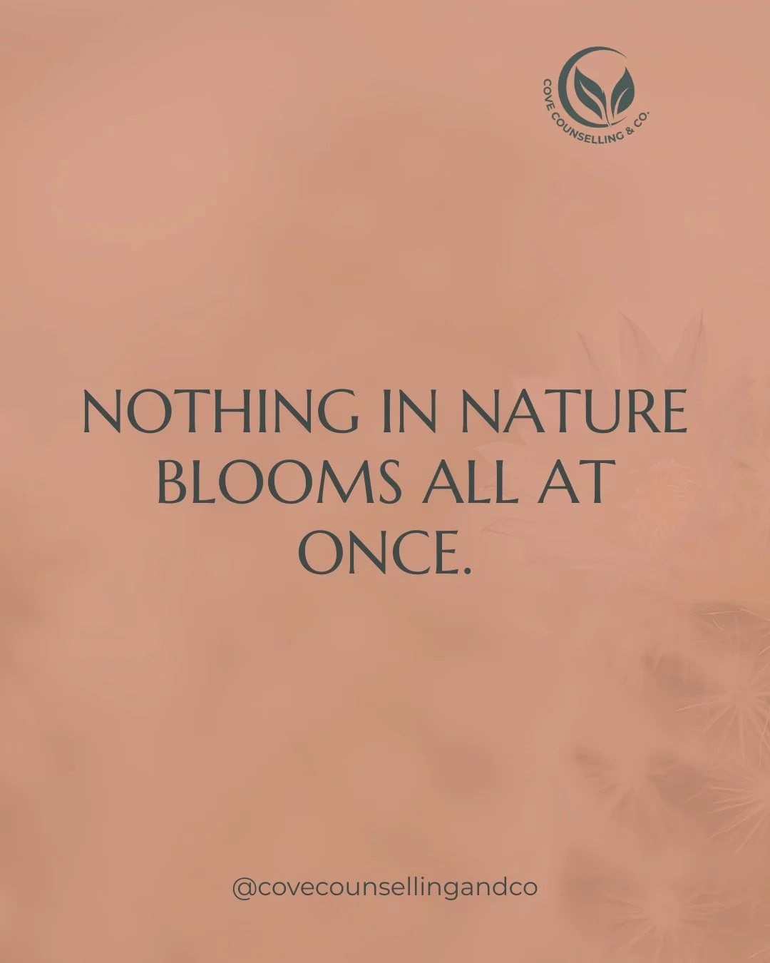 Not every season is for blooming. Some are for rooting. 🌿⁠
⁠
And yes&hellip; that still counts as progress.⁠
⁠
#HealingAtTheCove #CoveCounselling #CoveCounsellingandCo⁠
#MentalHealthMatters #MentalHealthAwareness #MentalWellBeing #StressRelief #Ment