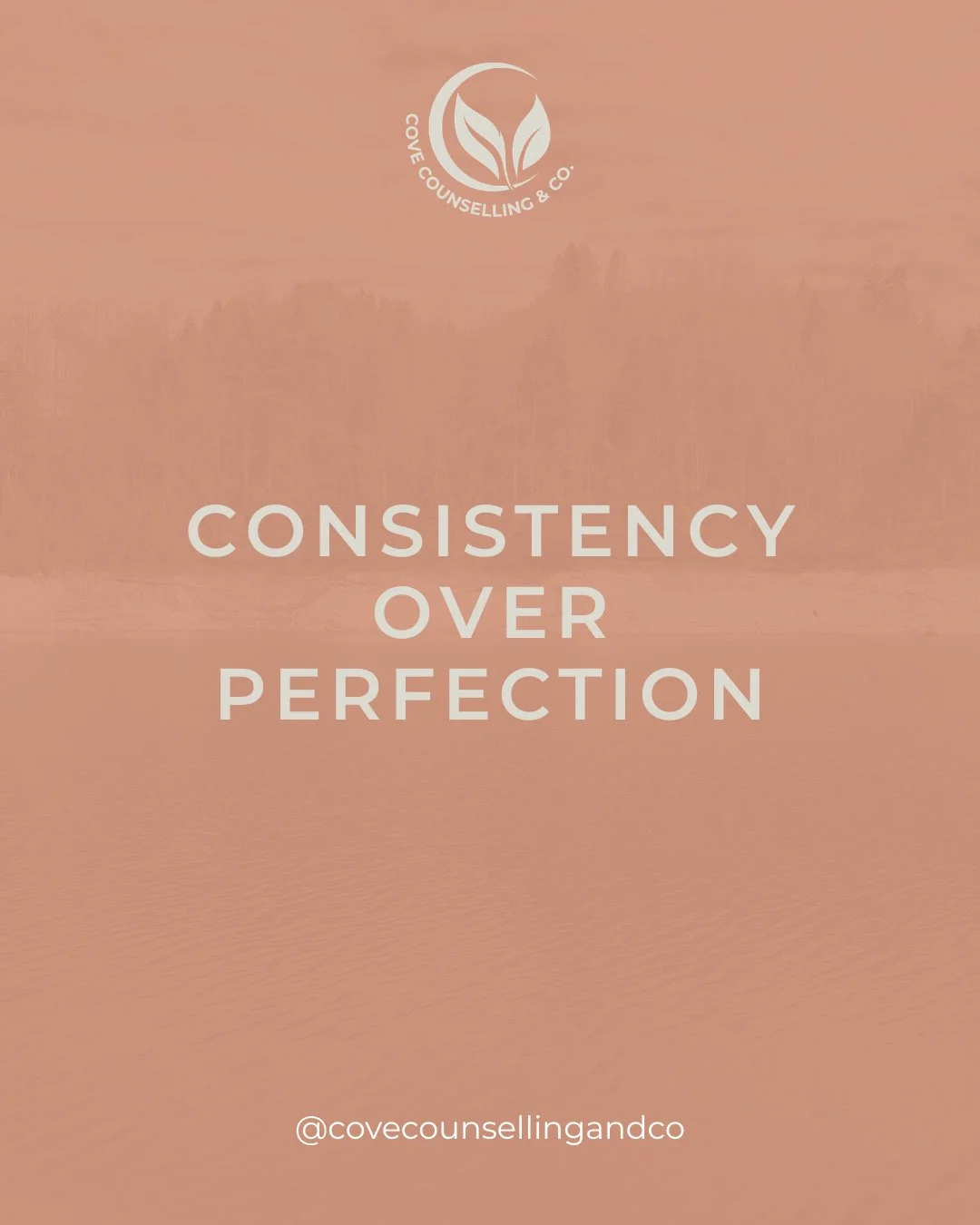 Lots of people struggle with motivation. Consistency is one of the hardest things to be consistent with.⁠ 😅⁠
⁠
If you&rsquo;ve ever felt like you want to wait until you feel motivated, you&rsquo;re so far from alone. It&rsquo;s so much easier to tel
