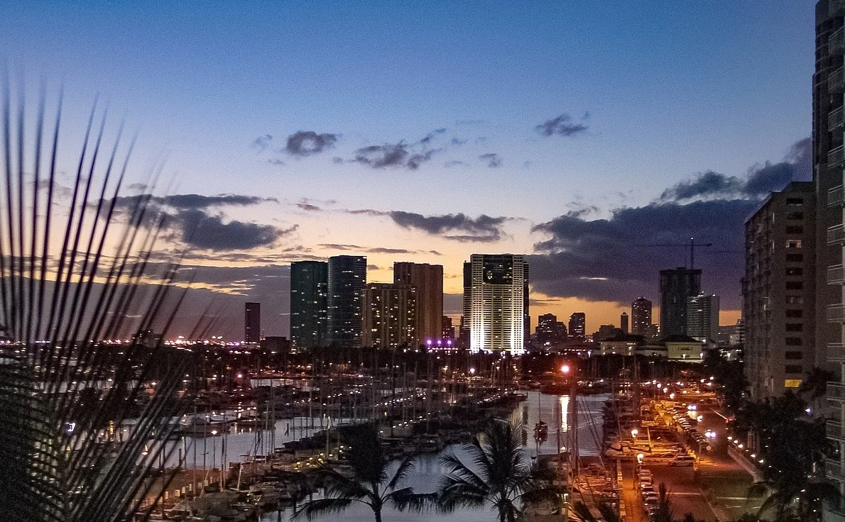 city view.jpg