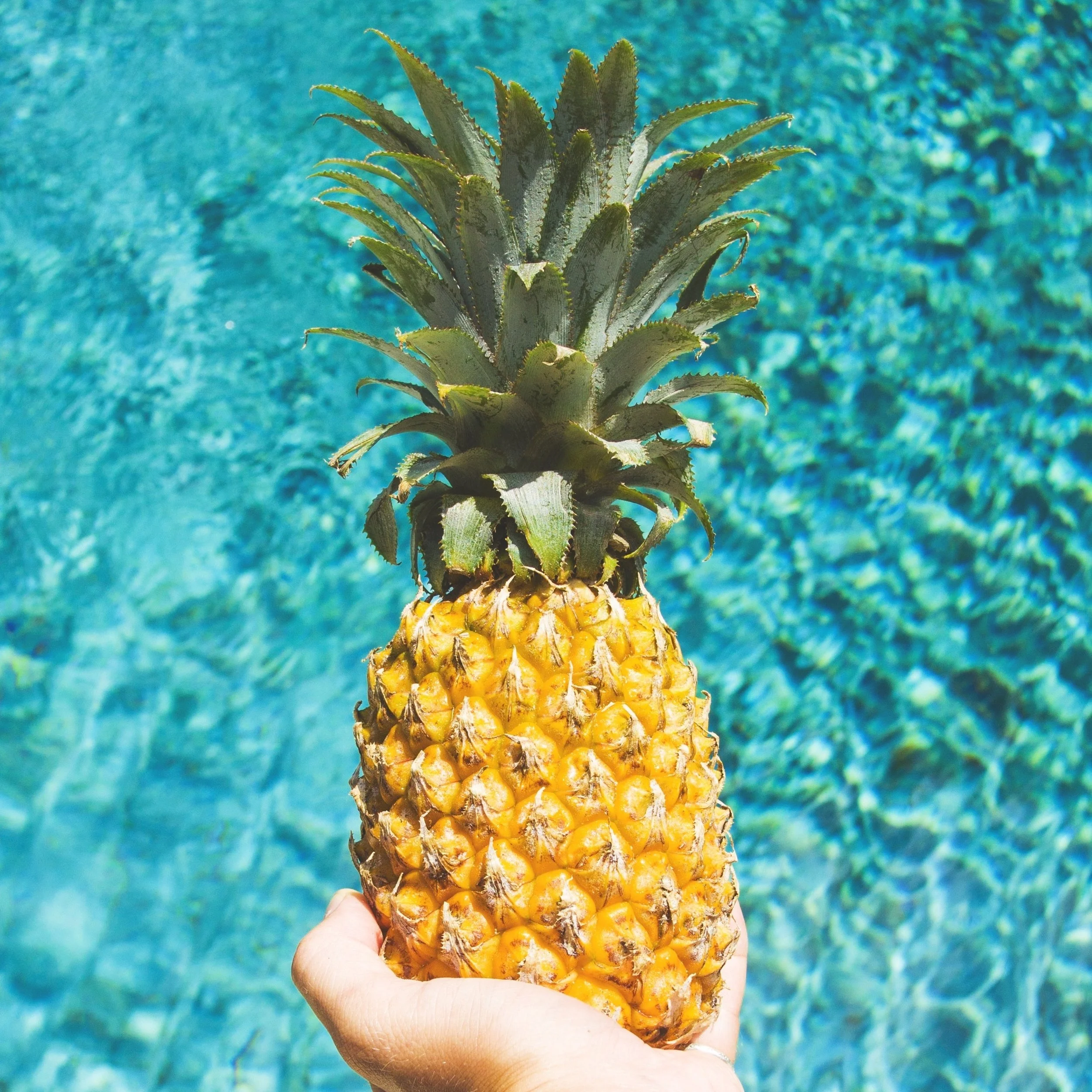 pineapple.jpg