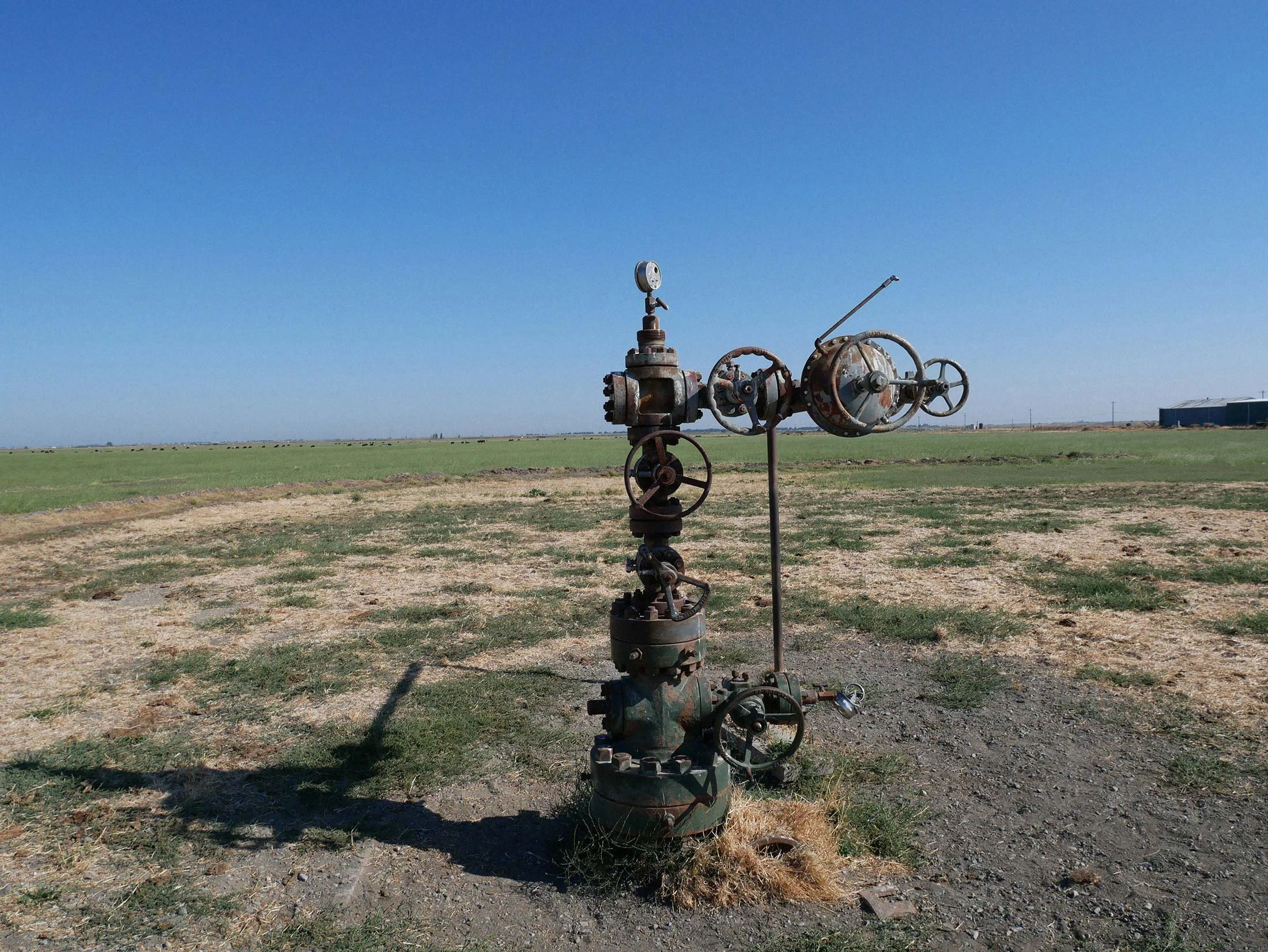 An art installation made of rusted industrial machinery parts in an open field with clear blue sky.
