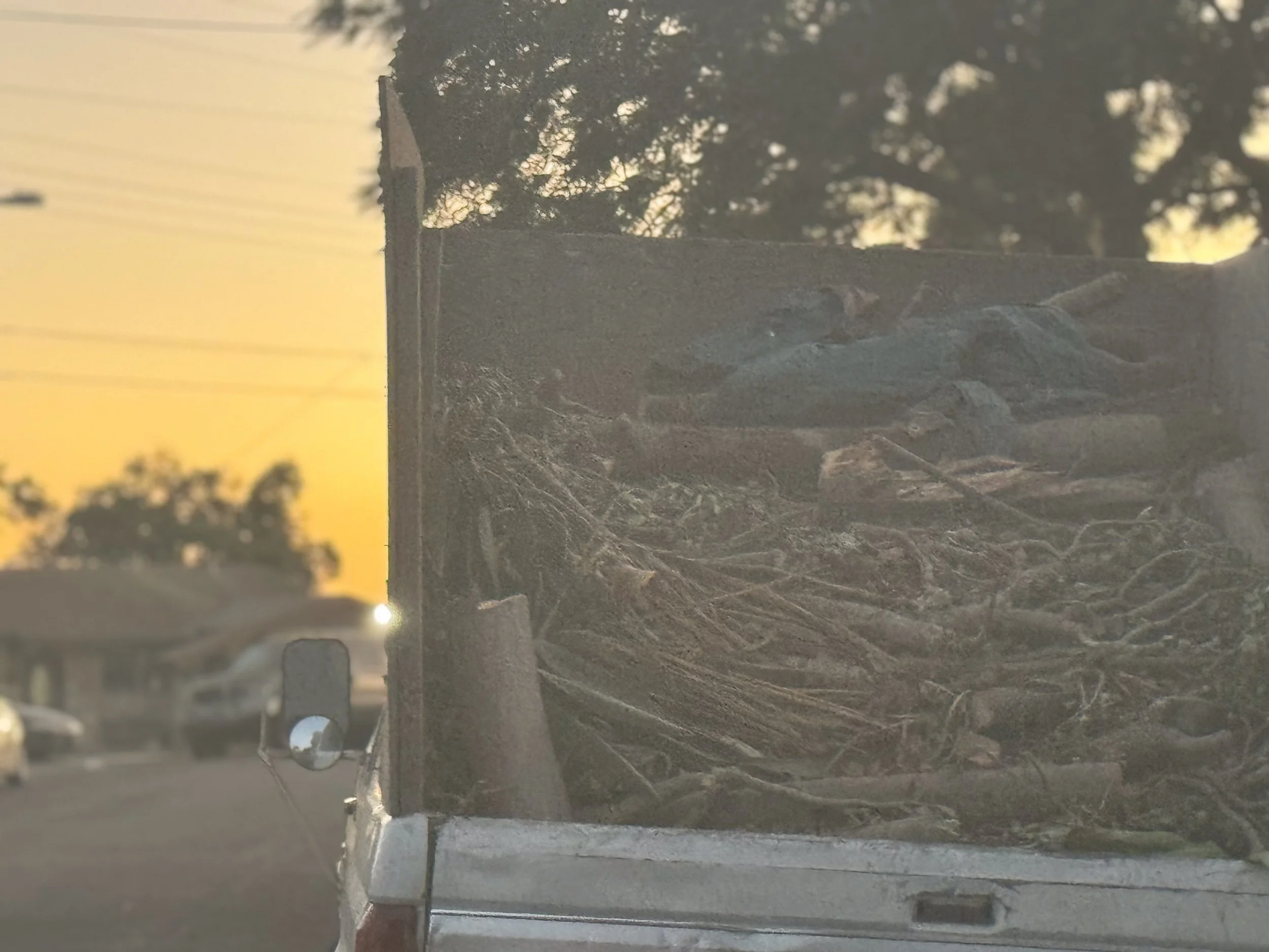 Brush management Firescaping 