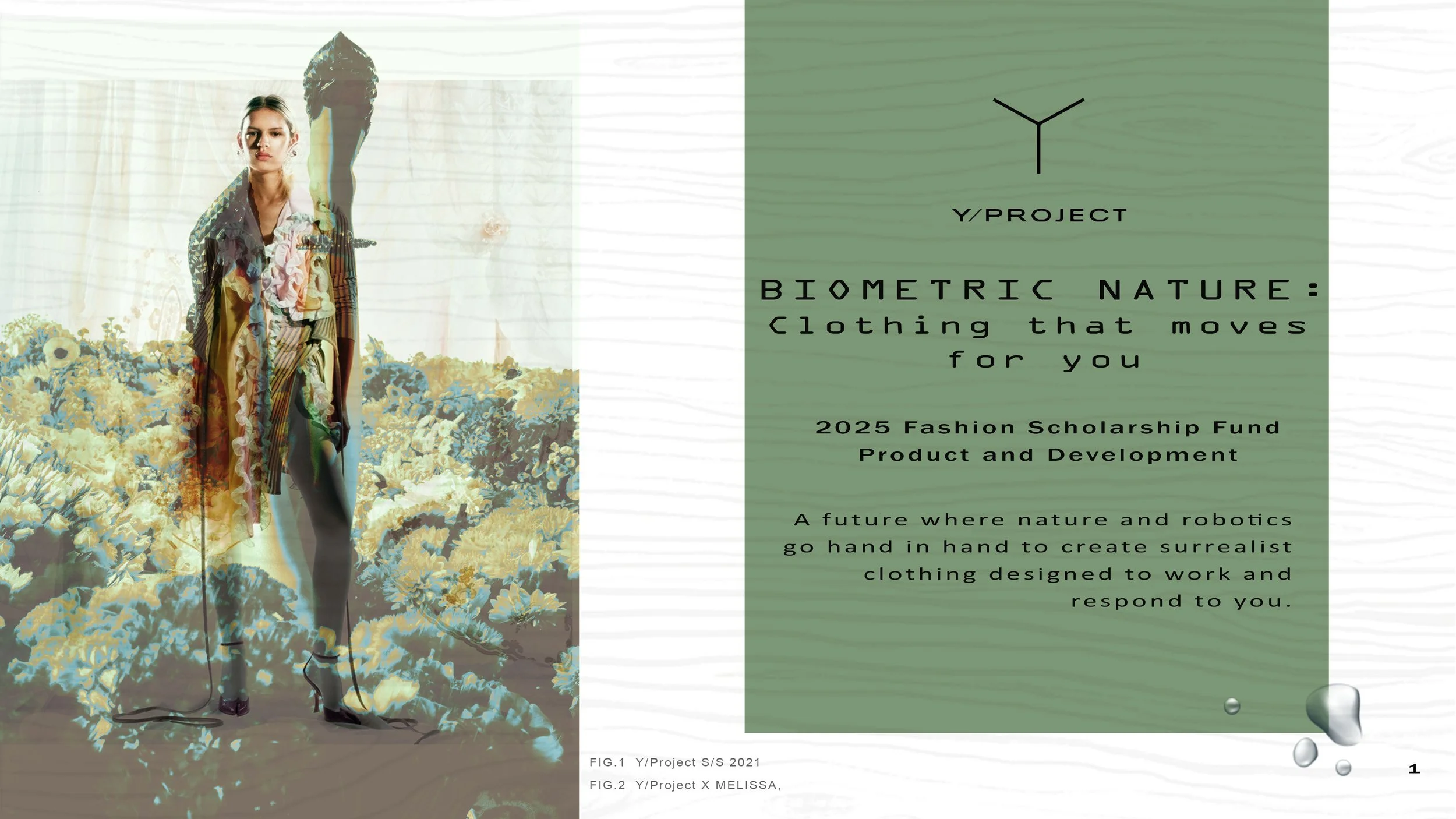 Biometric Nature