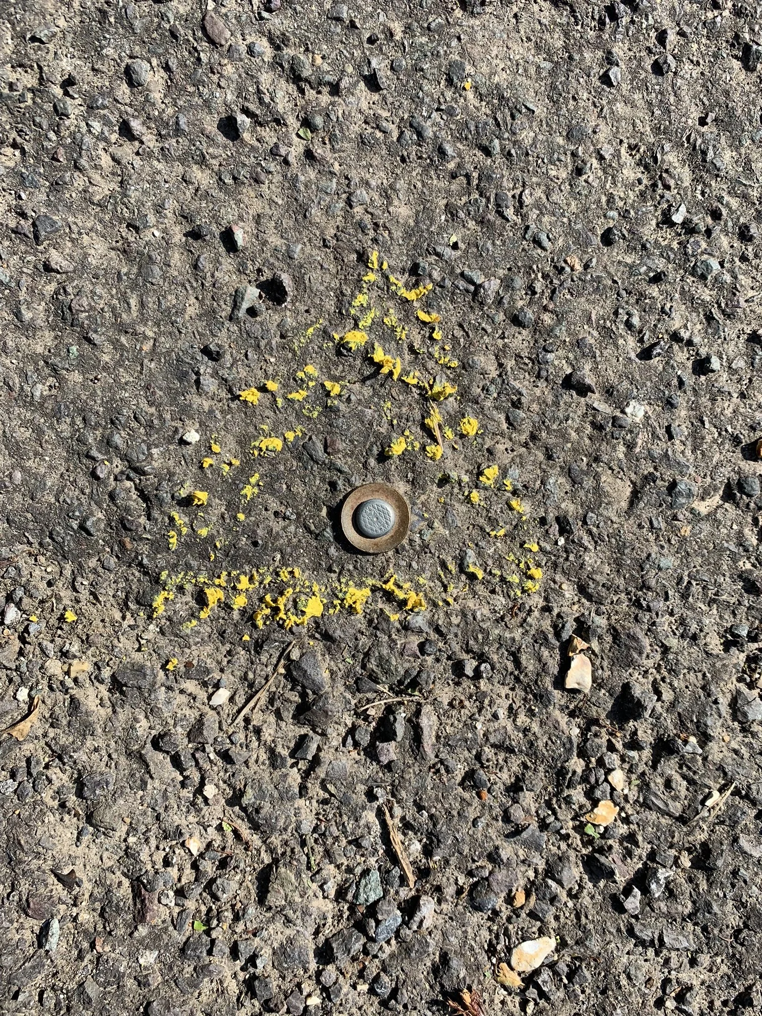 Metal survey reference point marked in yellow on the road surface near Hill Top House, Dummer.