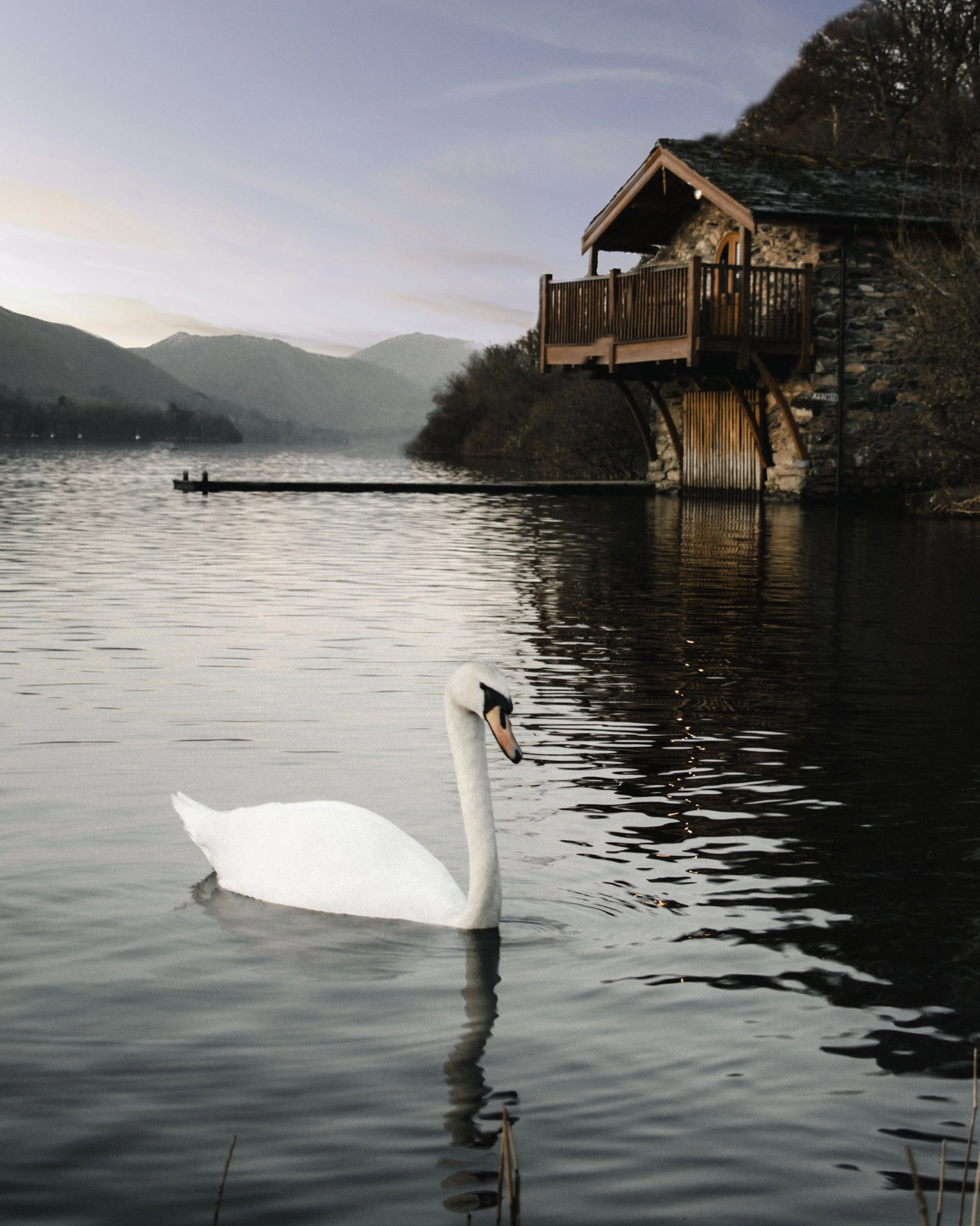 A swan swimming on a lake near a boathouse with a wooden balcony, surrounded by mountains and trees at dusk.