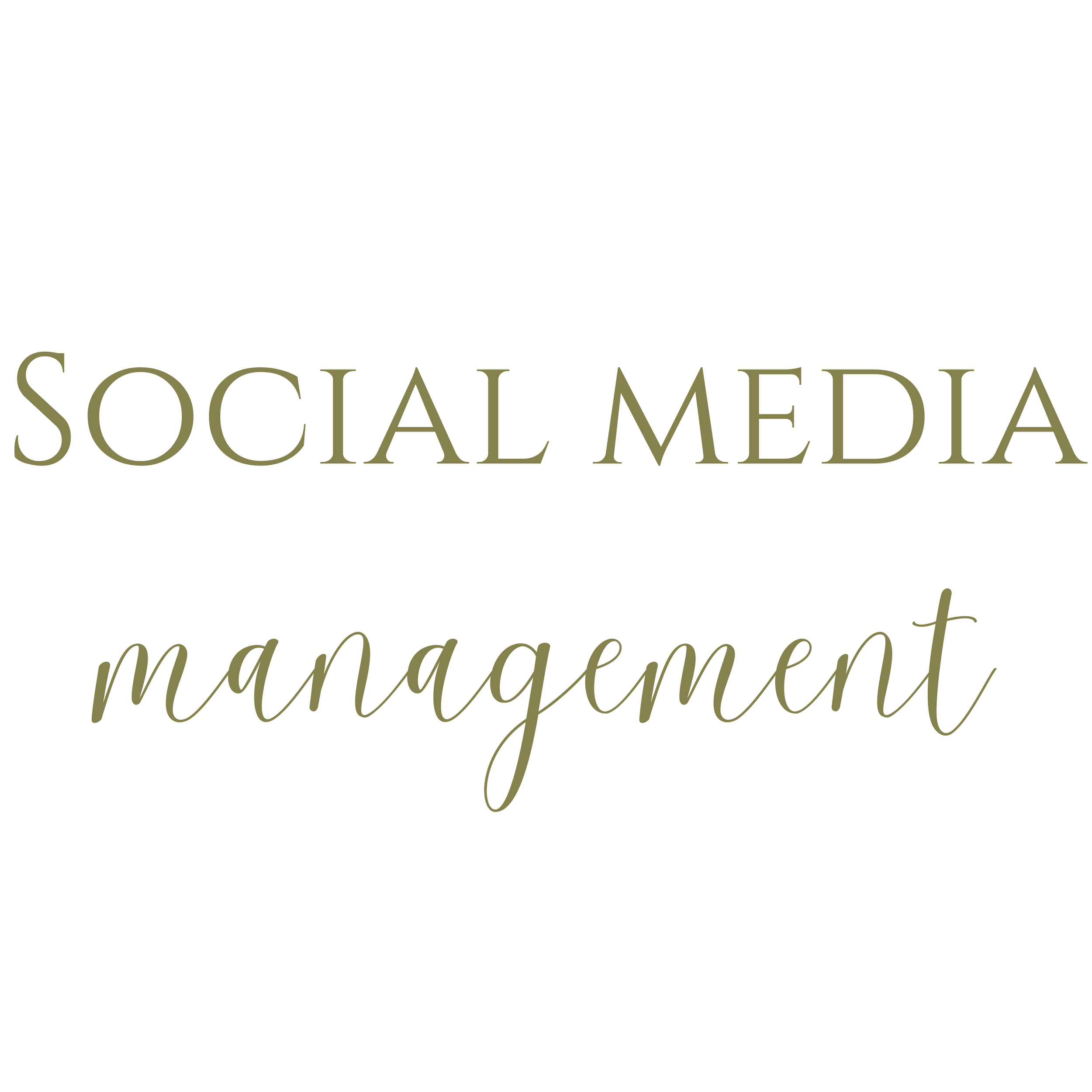 Social Media Management