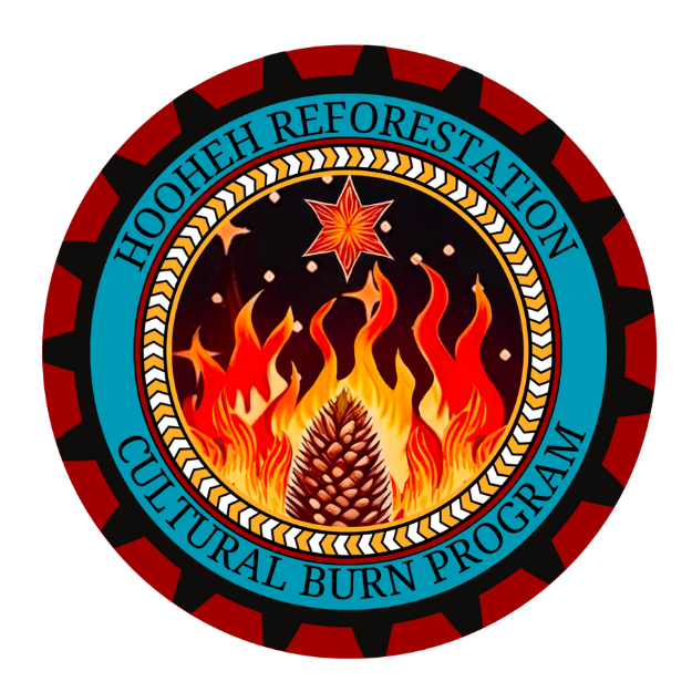 Hooheh Cultural Burn & Reforestation