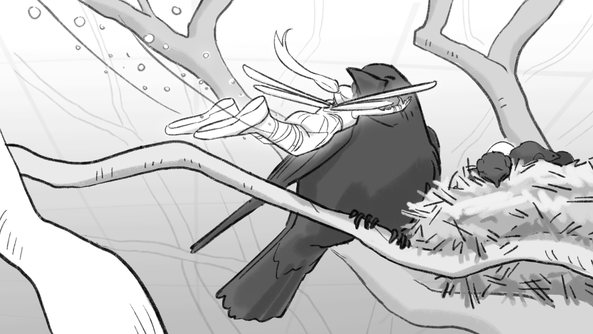 Crows Nest