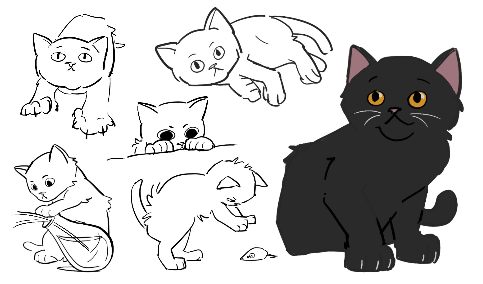 IMG_2828.PNG