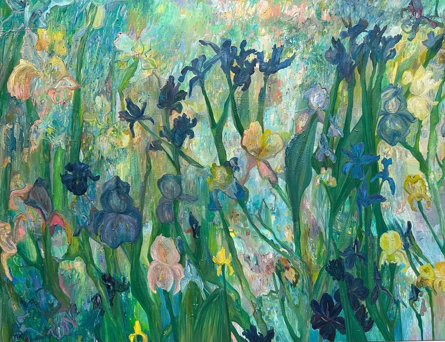Iris Bloom in Spring.JPG