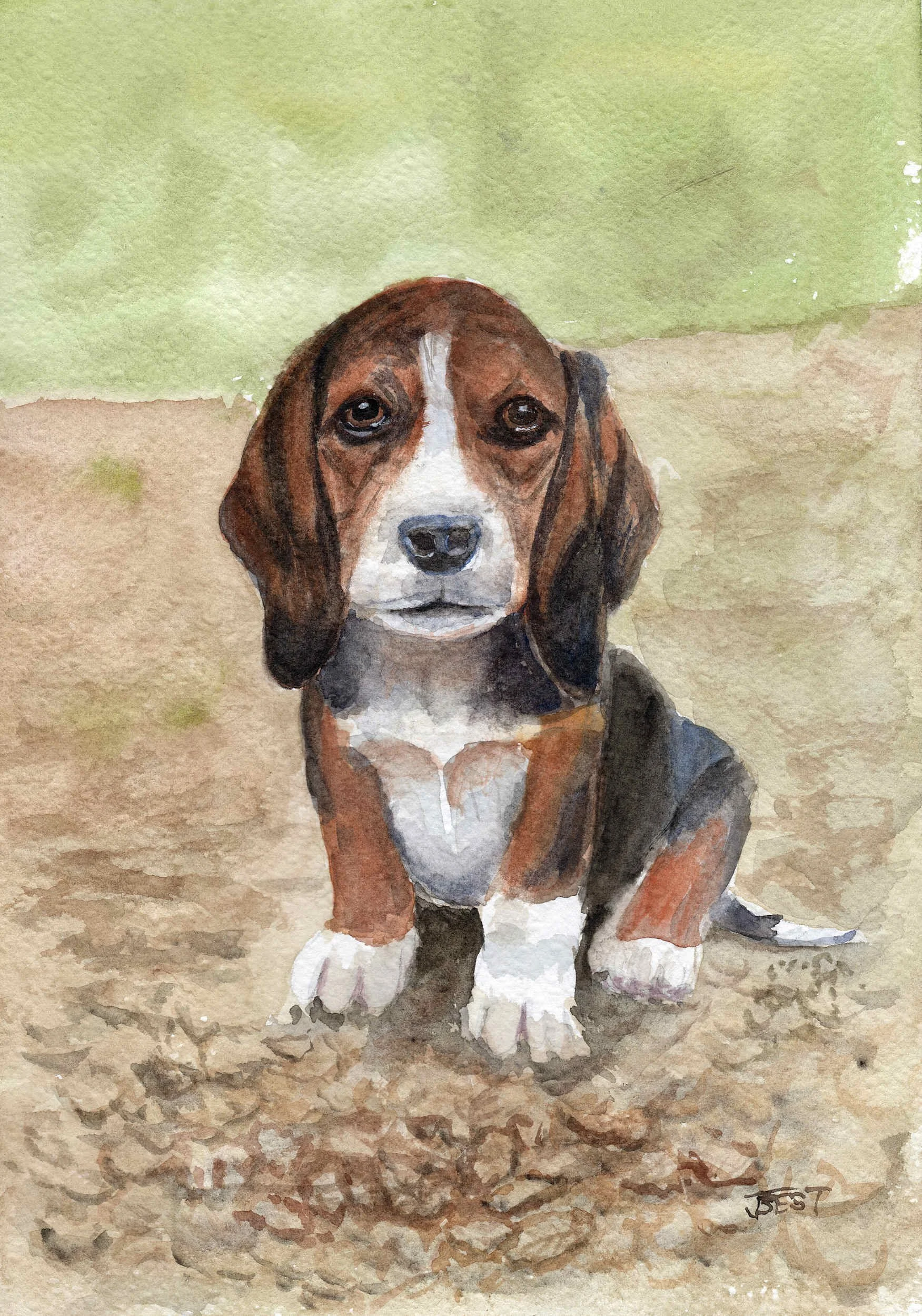 W515_Puppy Eyes_web.jpg