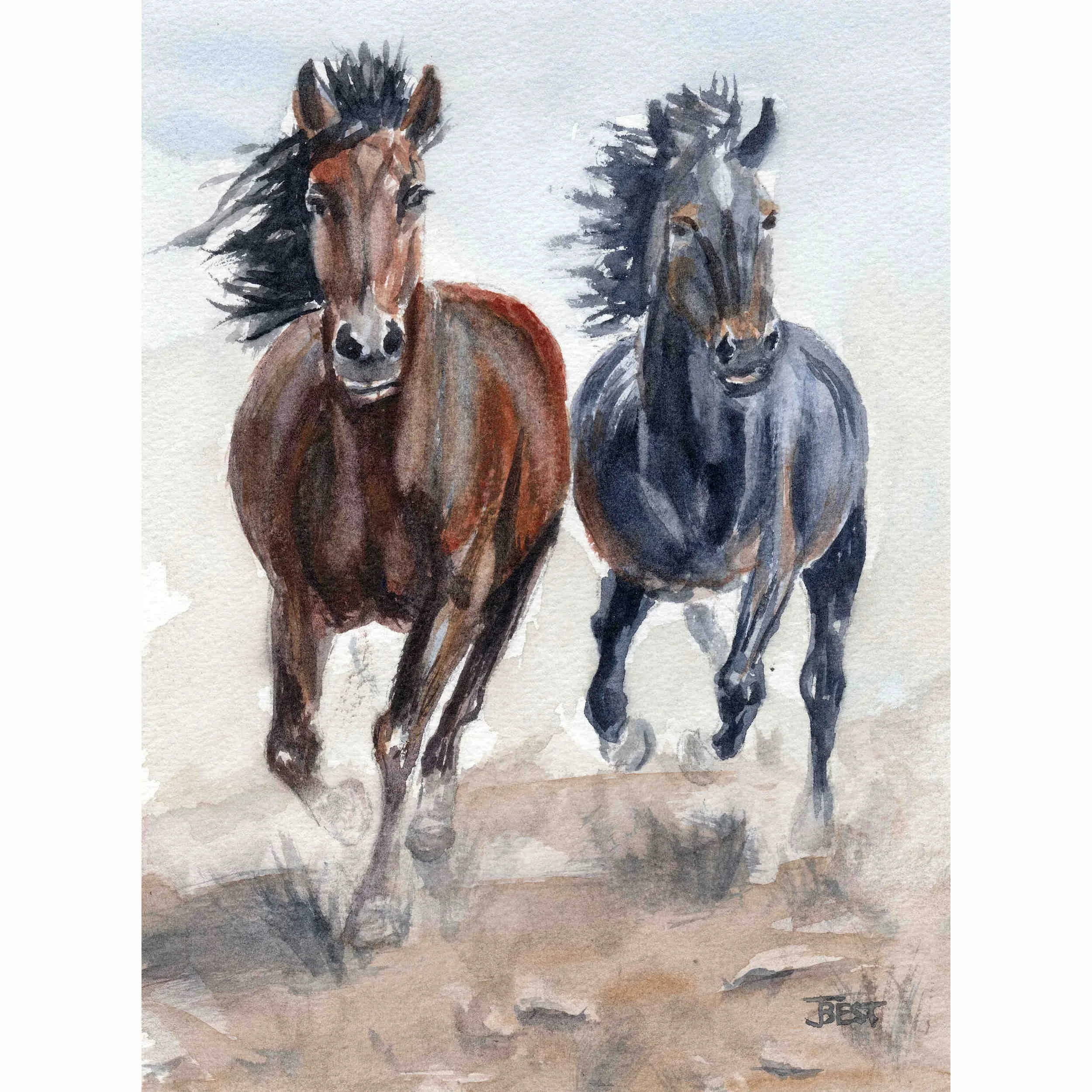 Twin Spirits in Motion