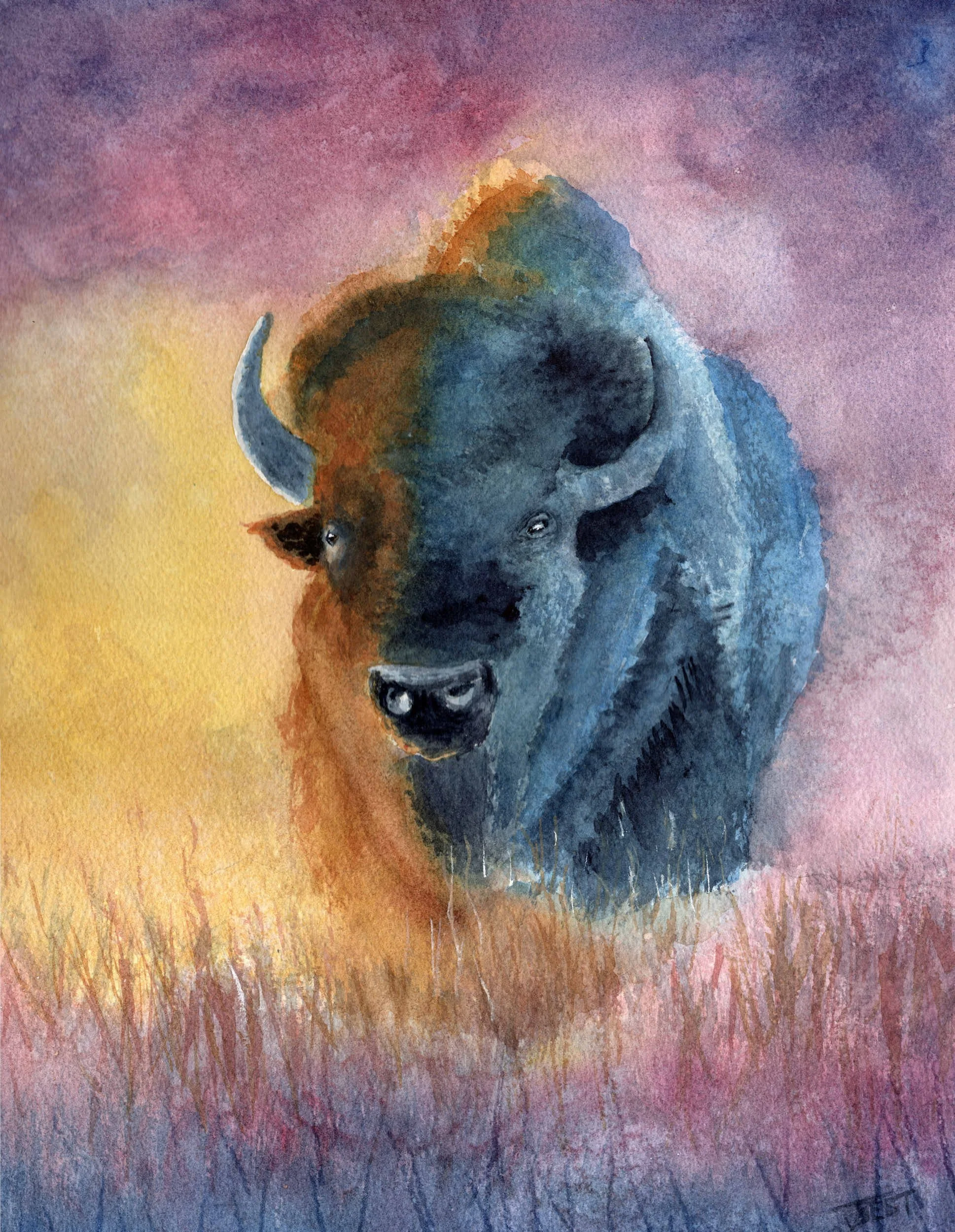 W624-The-Quiet-Monarch-bison-watercolor-john-best.jpg