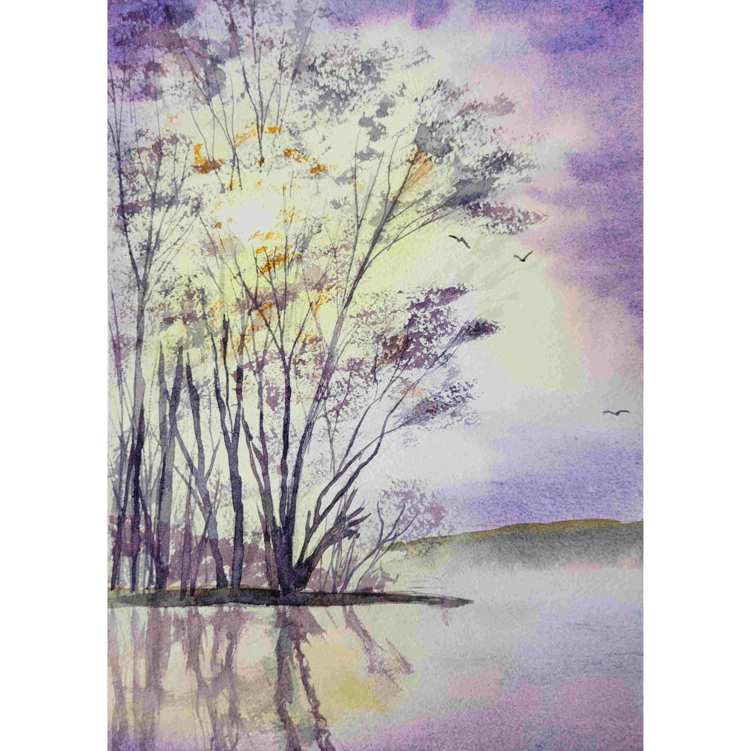 W501 Purple Mist.jpg