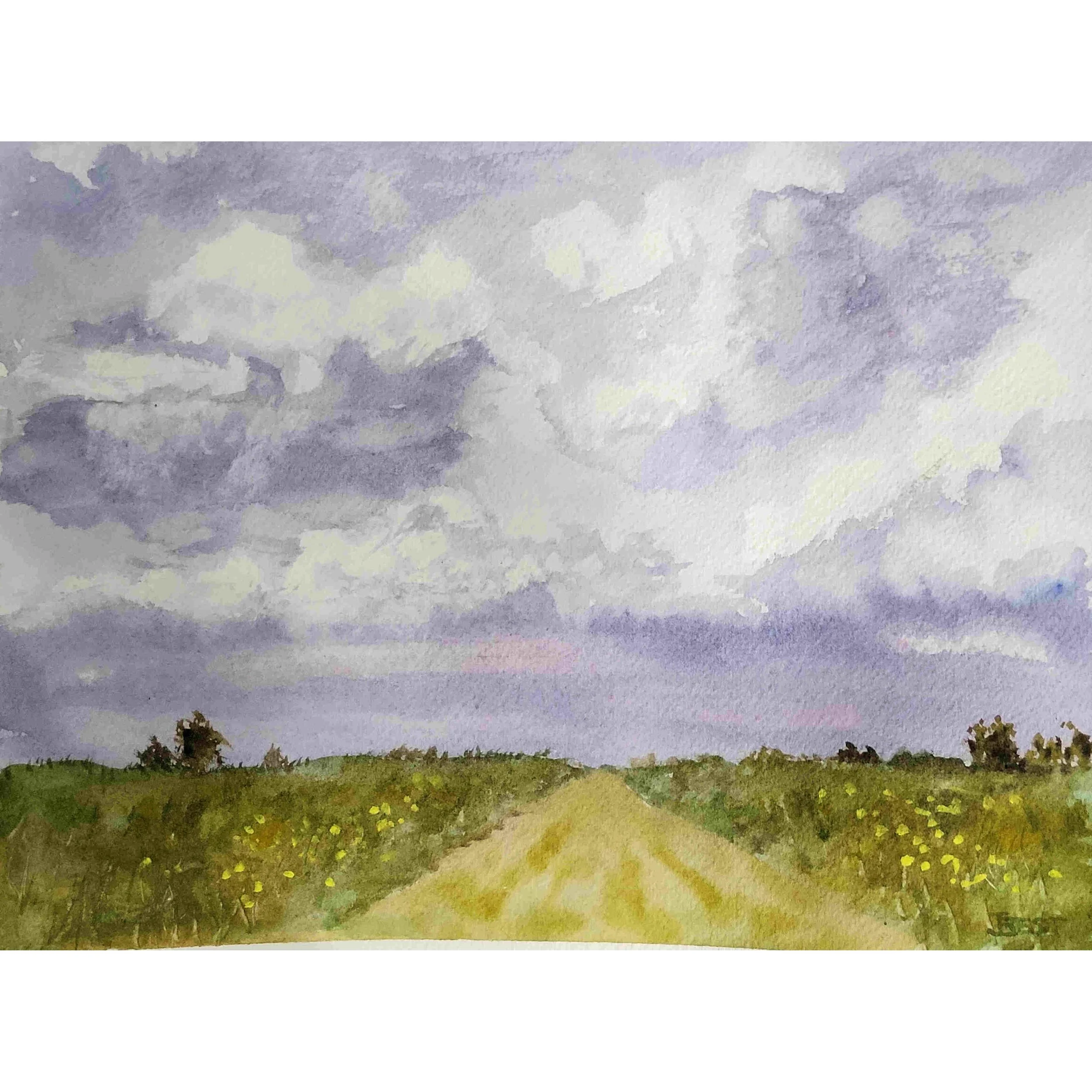 W423_Afternoon Storm_medres.jpg