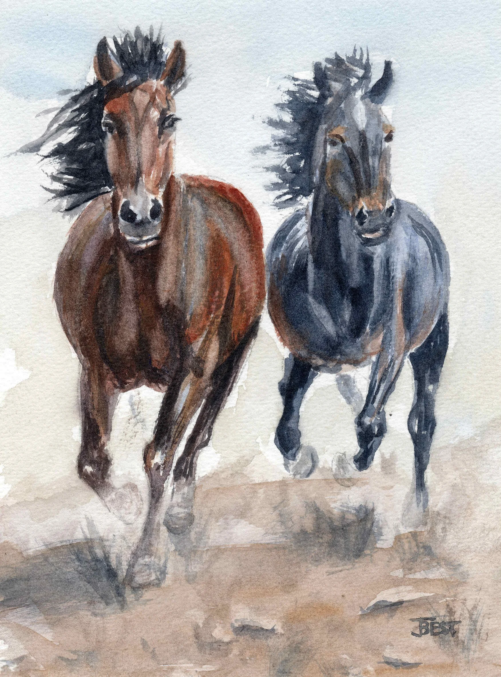 W518_Twin Spirits in Motion_web.jpg