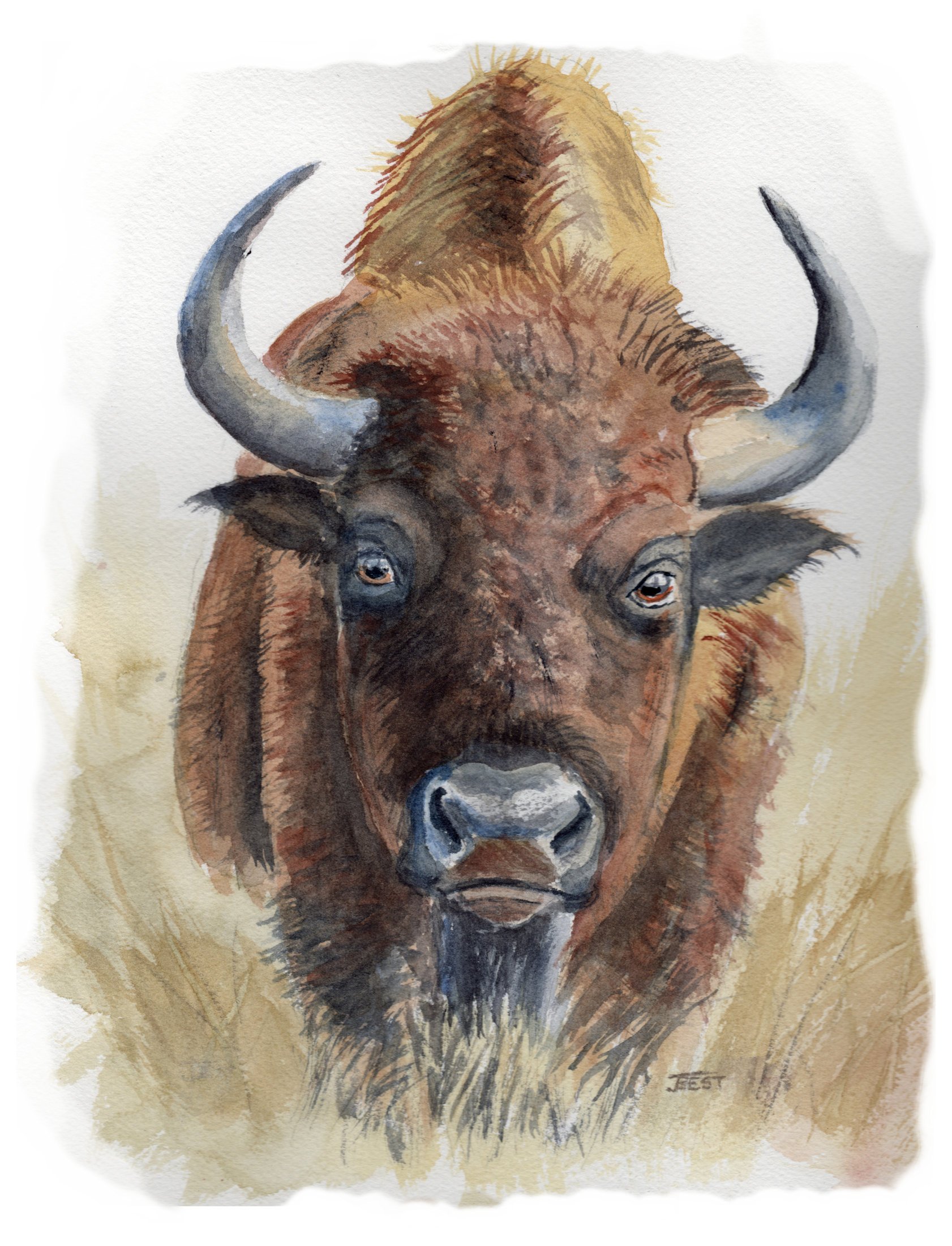 Ancient Eyes of the Prairie