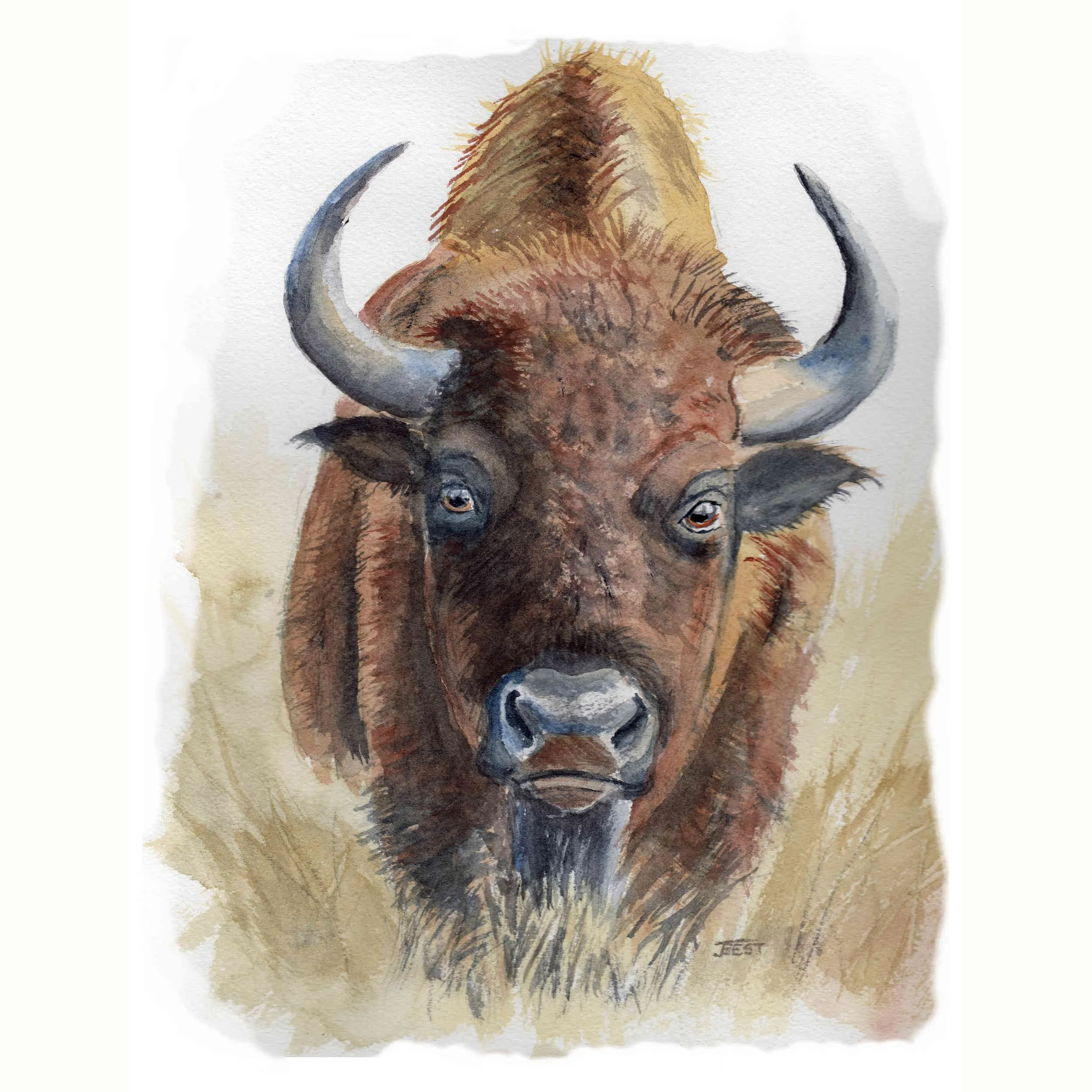 Ancient Eyes of the Prairie