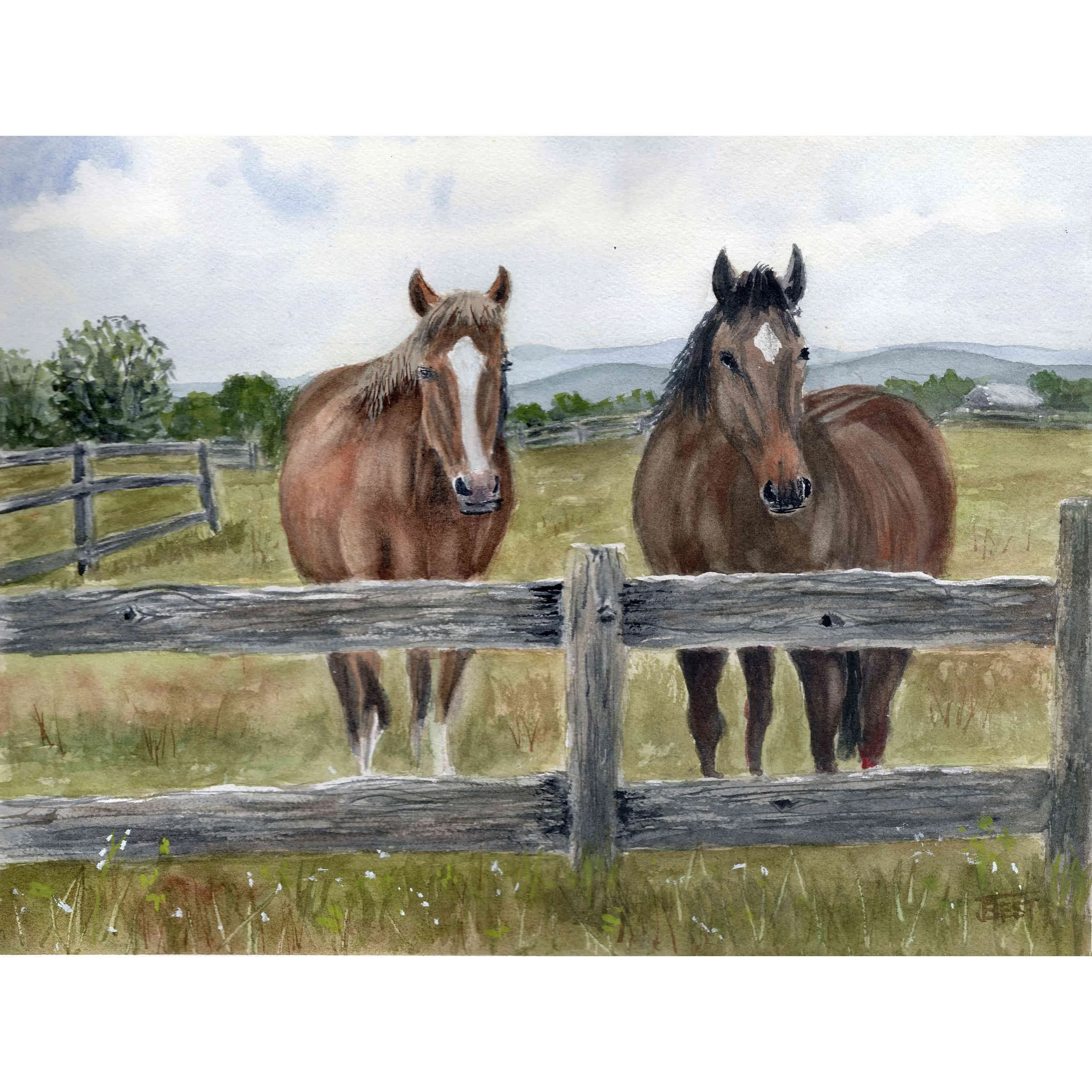 Fence Line Companions