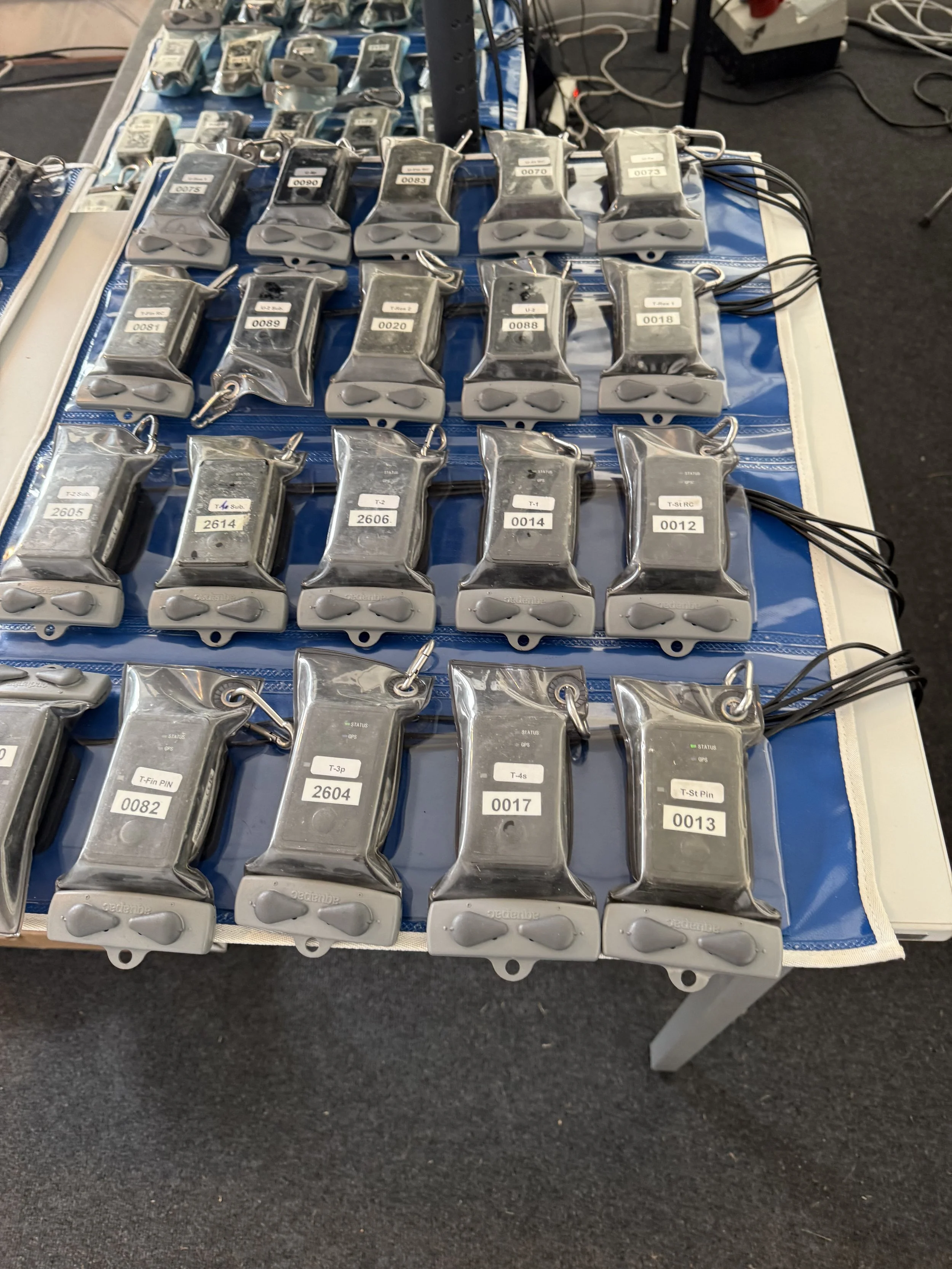 Collection of small electronic devices in clear plastic bags, arranged on a blue table, each with a label and connected to wires.