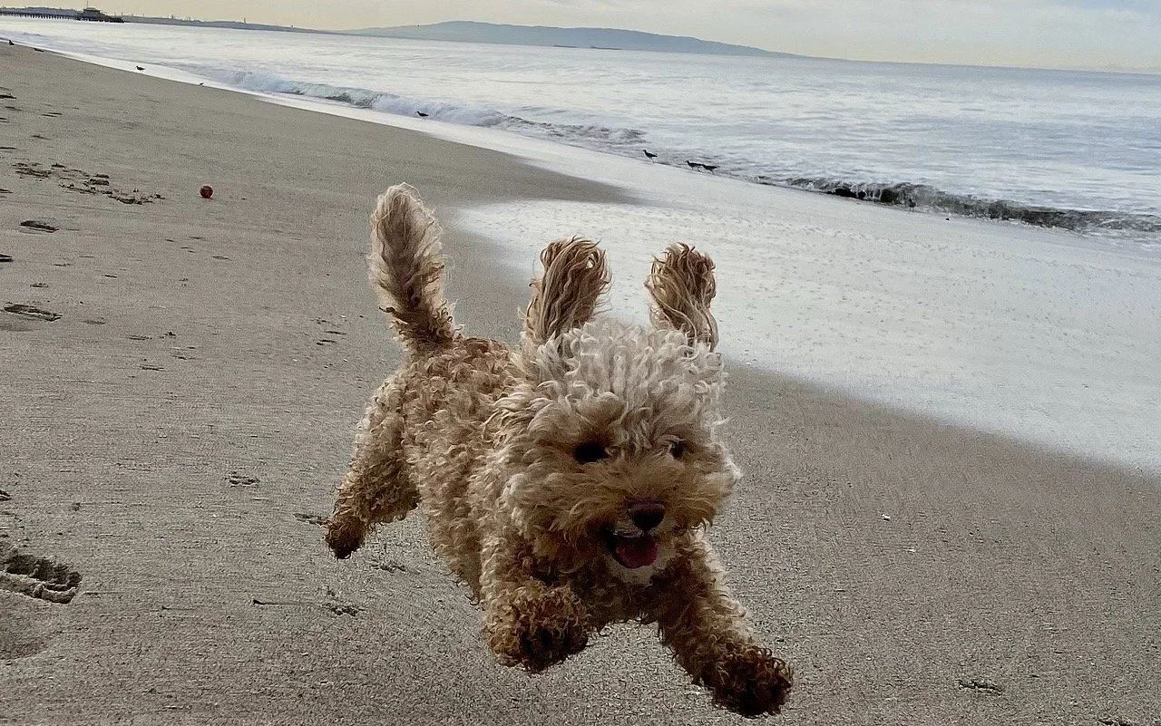 Photo by Rob Jernigan