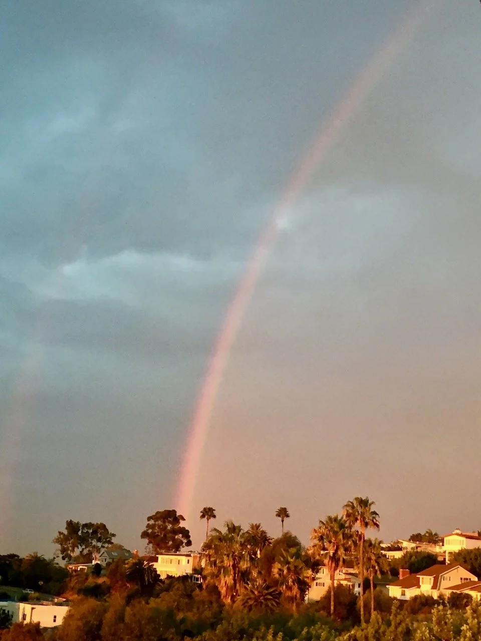 Photo by Roseanne Landay