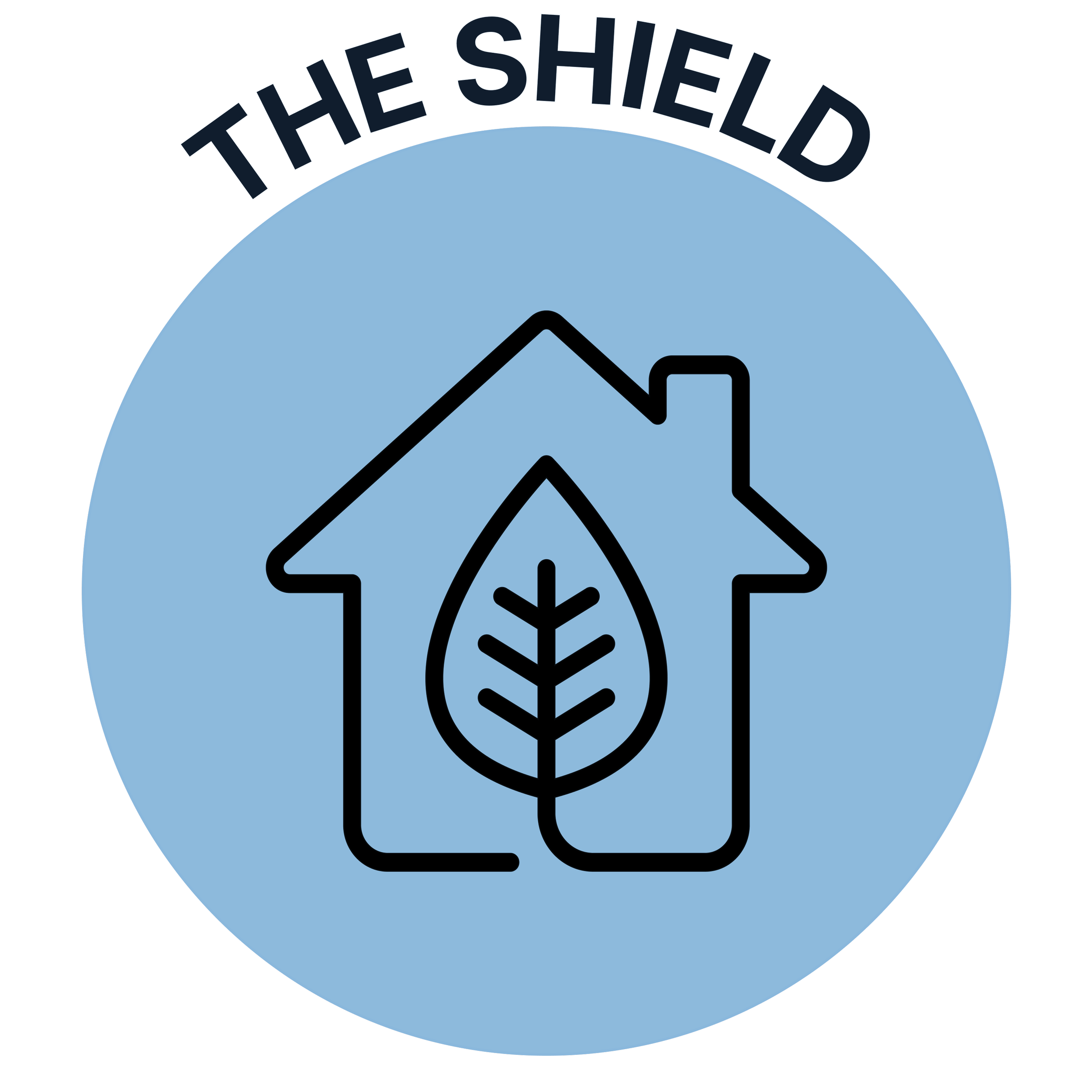 TheShield_TeamPalisades_FocusArea_09012025.png