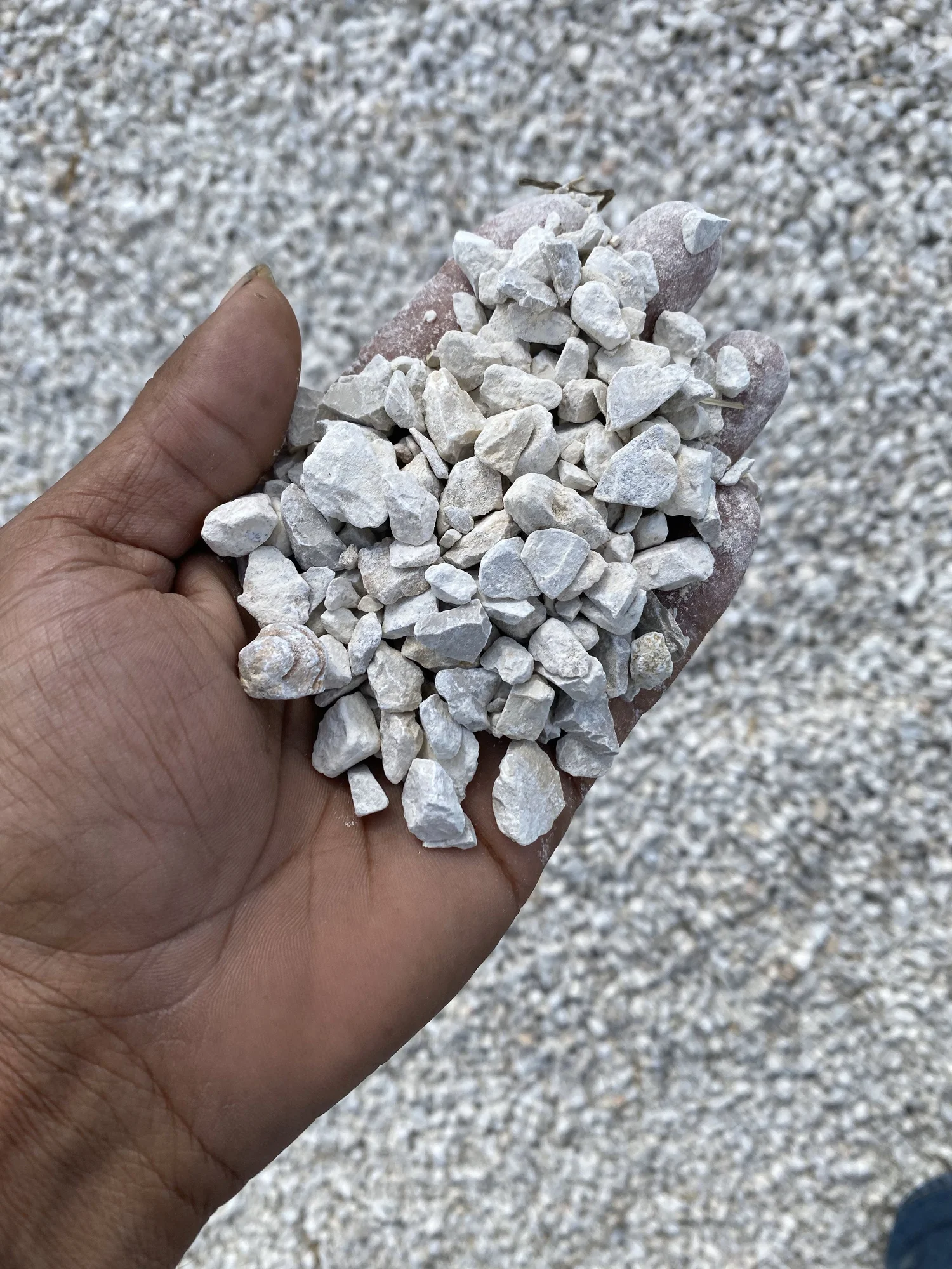 #57 Washed Limestone — 3/4–1 inch material reference