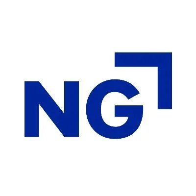 A logo with the letters 'NG' in dark blue, with a stylized upward arrow shape extending from the top right corner of the letter 'G'.