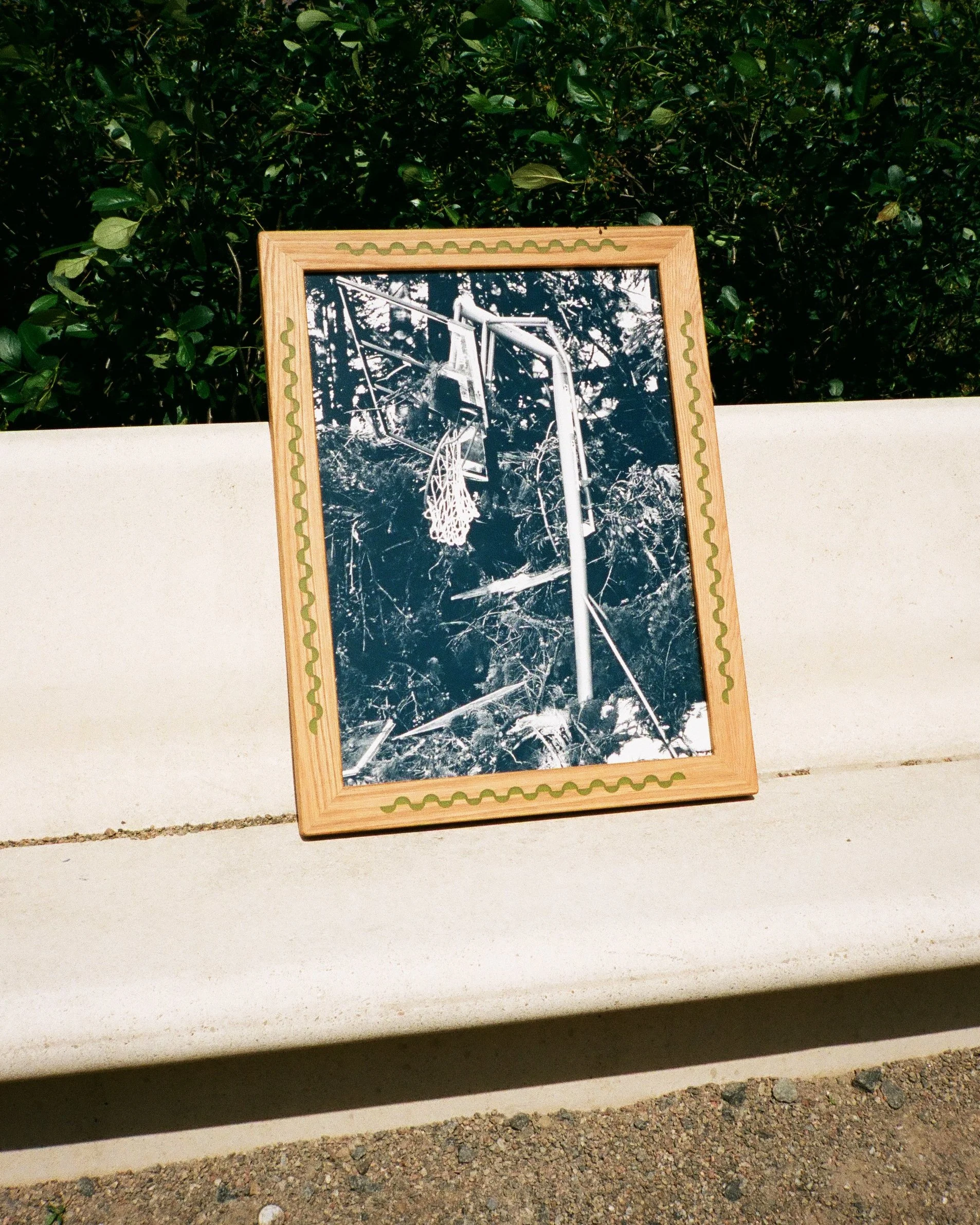 Black and white photograph of a fallen basketball hoop resting among trees and branches, in a wooden frame, placed on a light-colored concrete bench outdoors.