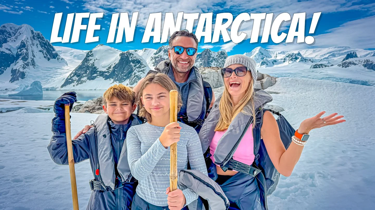 antarctica-part-2-life-in-antarctica.jpg