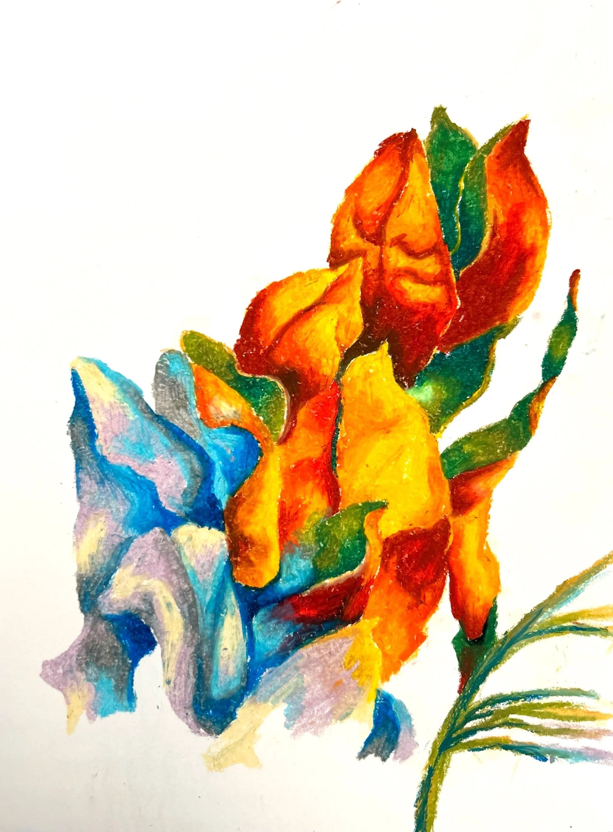 CamScanner 2026-3-11 13.57_5.jpeg