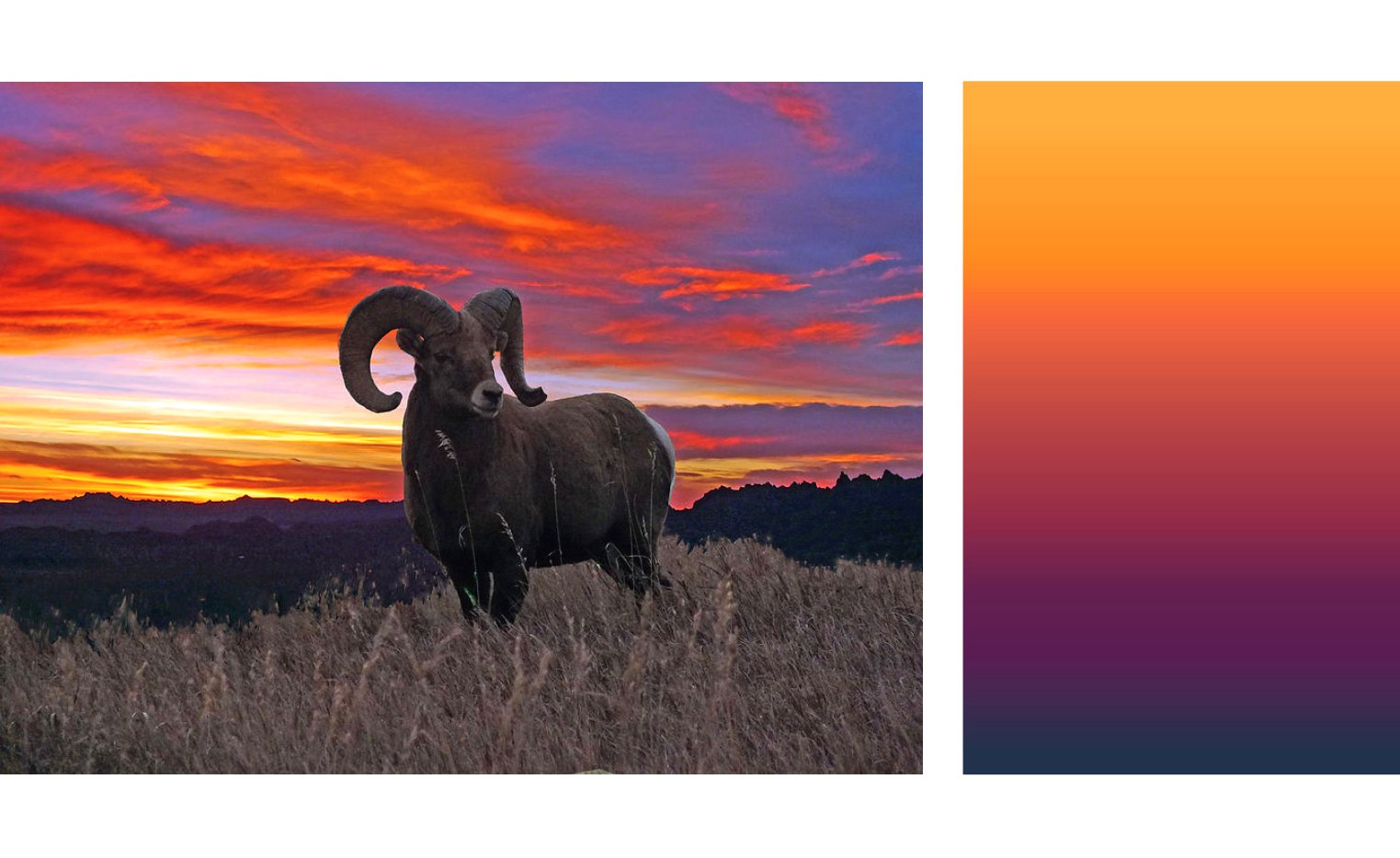 RAM+PALETTE_WEB.jpg
