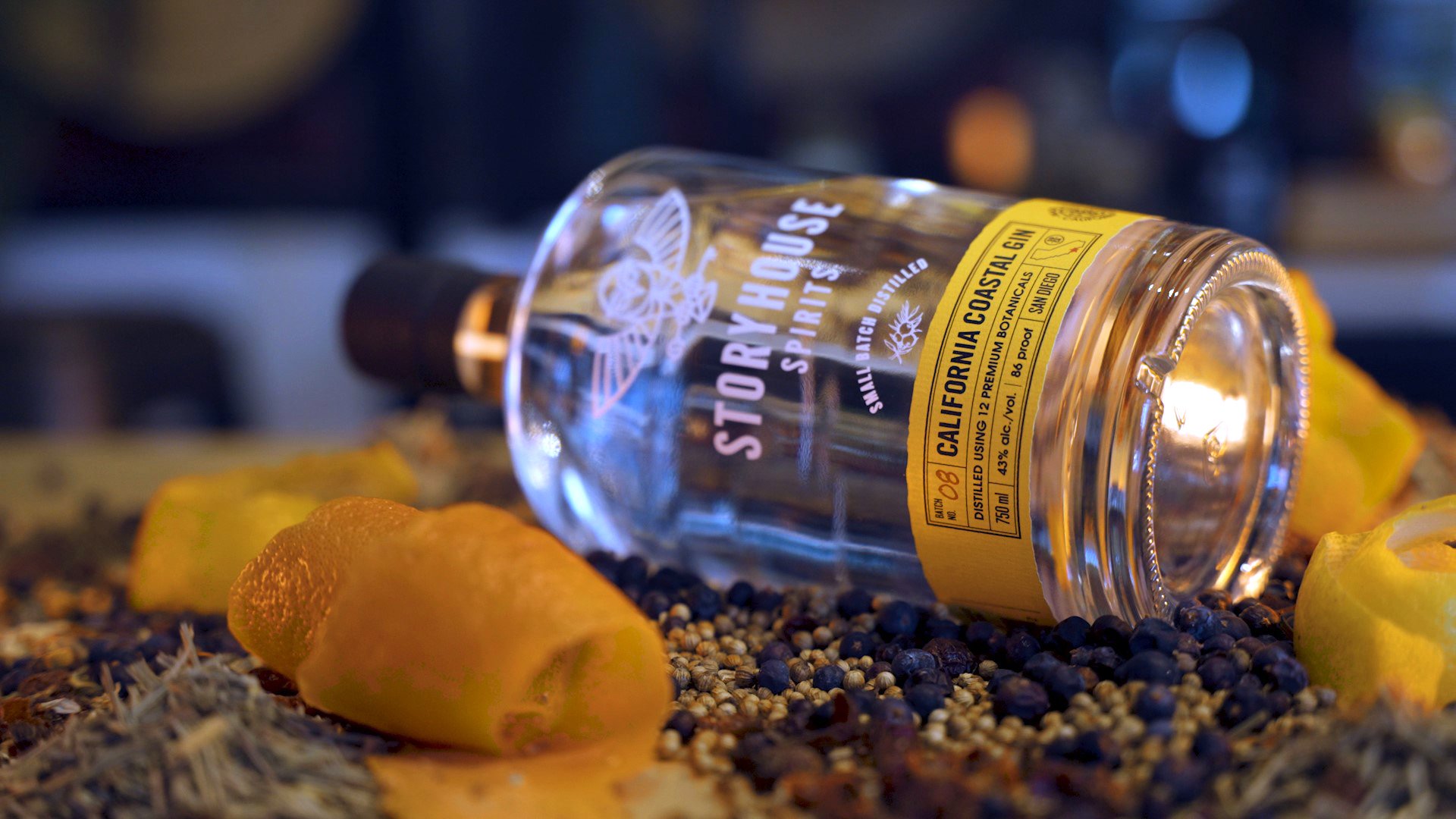 Coastal Gin_SH_WEB..jpg