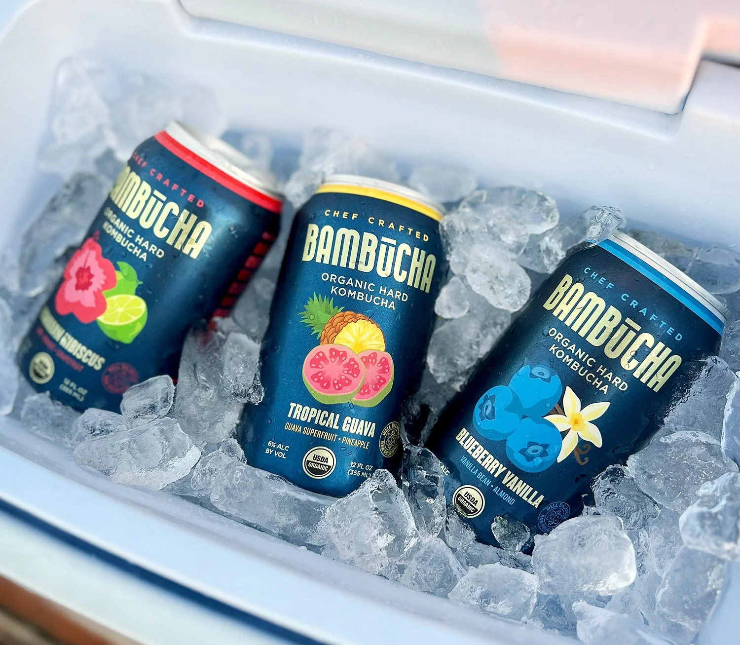 BAM_COOLER_DEC2022_WEB.jpg