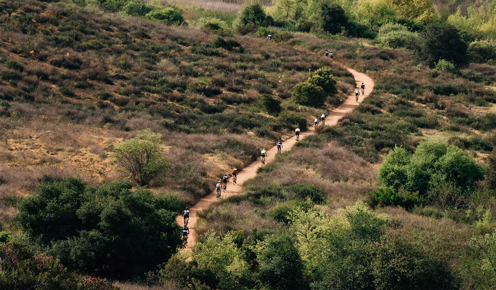 SINGLETRACK_GROUP_WEB.jpg
