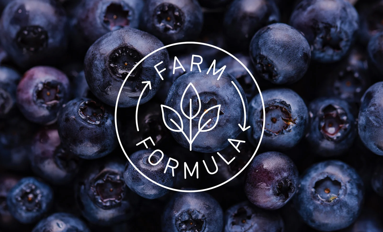 Berries_FarmFormula_WEB.jpg