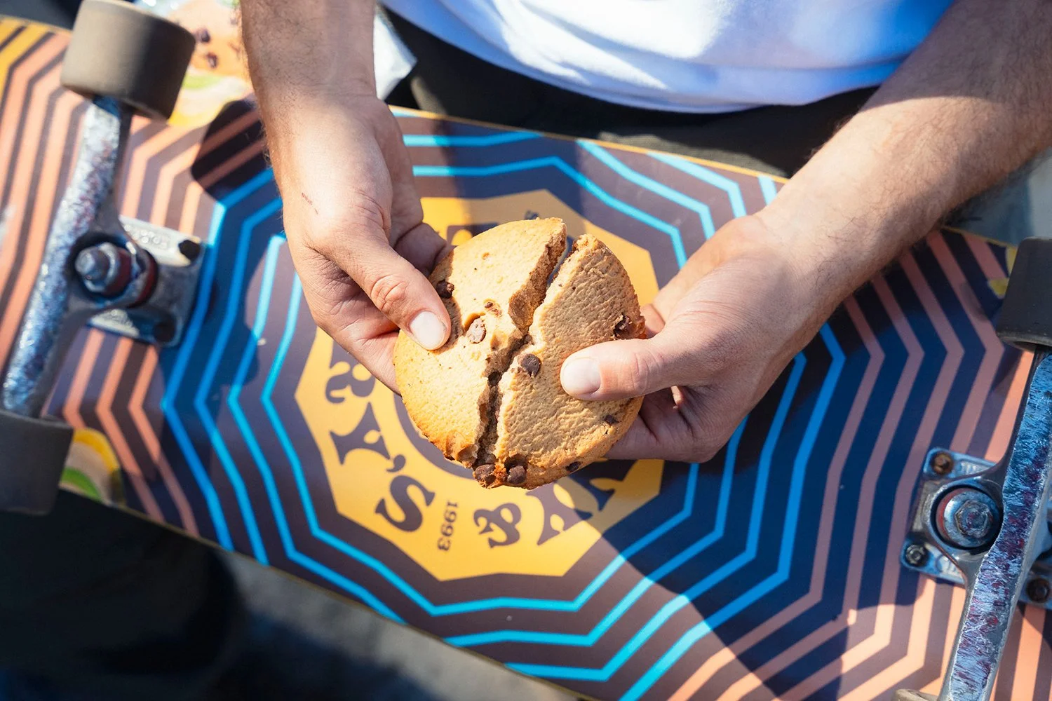 Ace_Cookie_Web.jpg