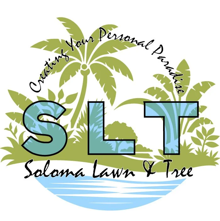 Soloma Lawn Care and Tree Trimming, SVS