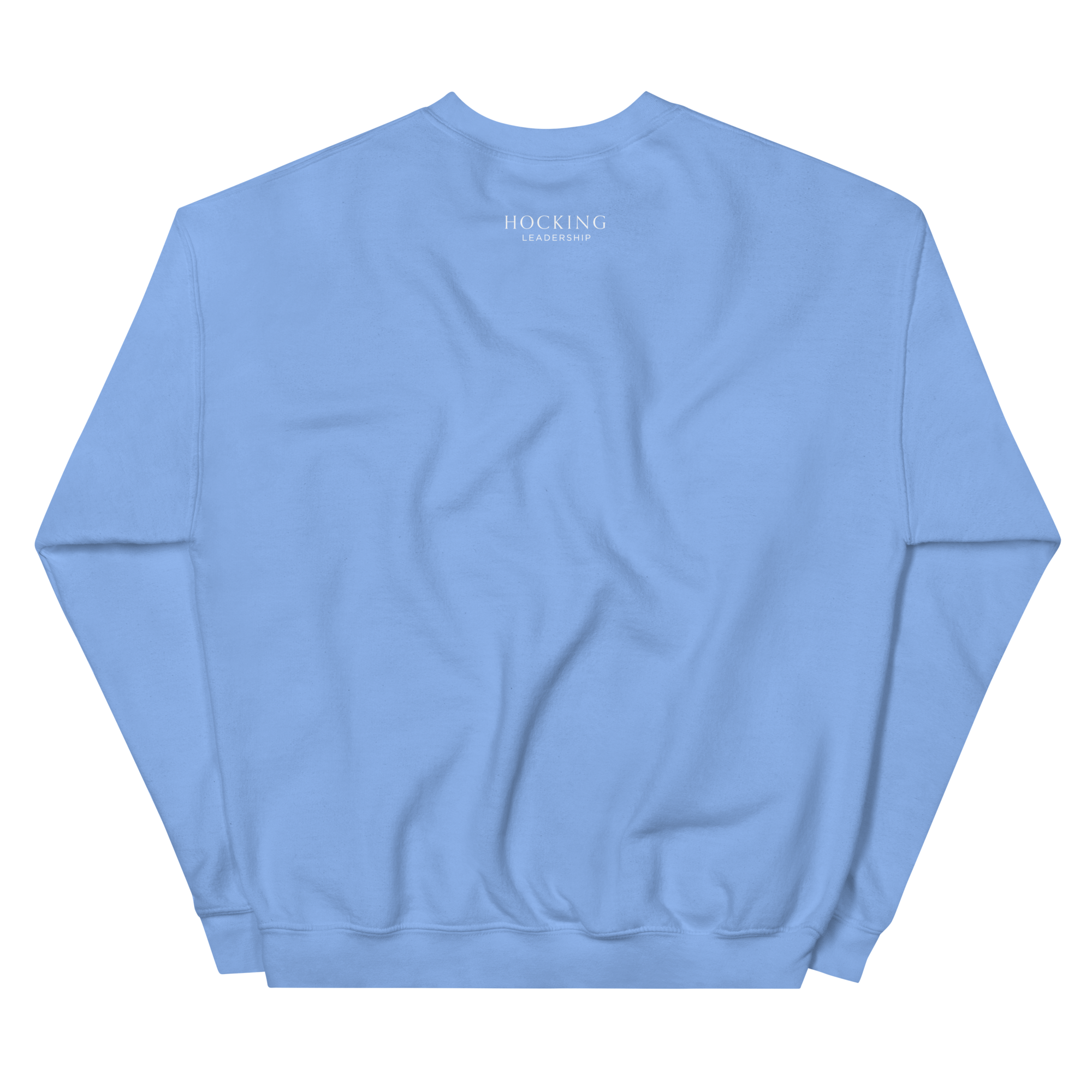 unisex-crew-neck-sweatshirt-carolina-blue-back-69b43af3df246.png