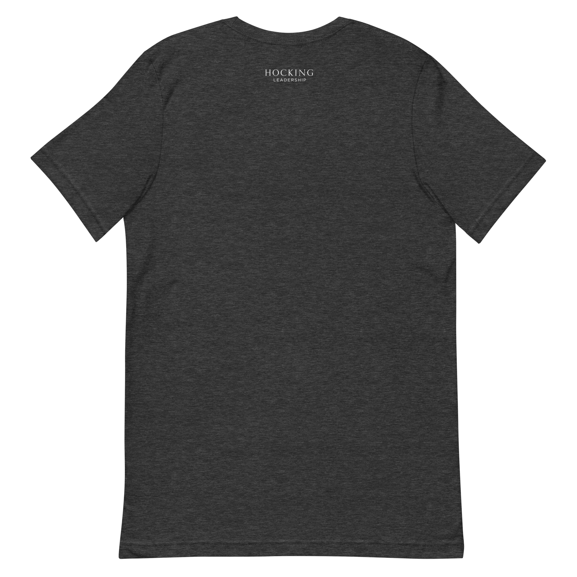 unisex-staple-t-shirt-dark-grey-heather-back-69b4394aa582b.png