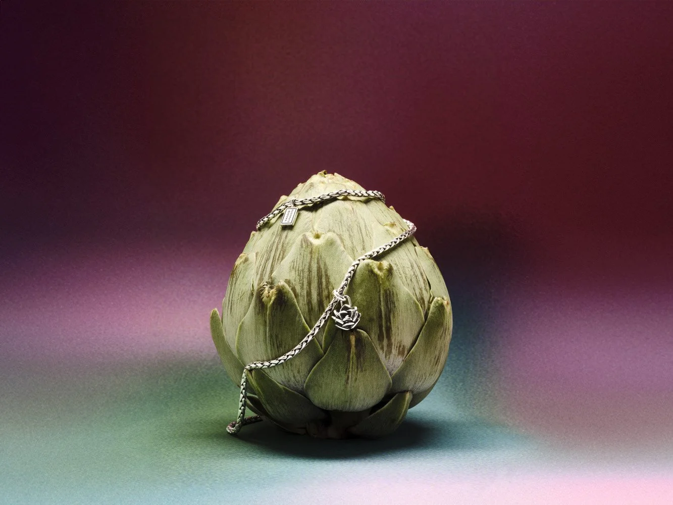 240209_Buddha2Buddha_9939 (1).jpg