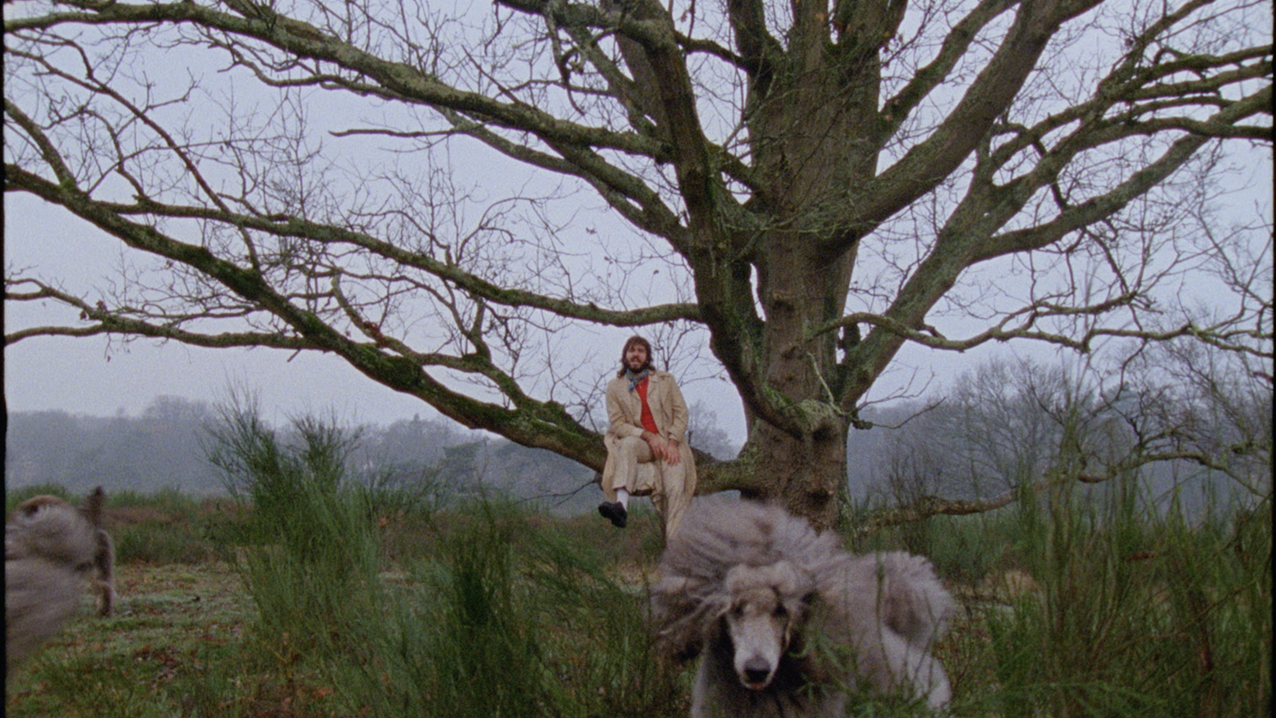 4b2m_ Money for Sale_3.png