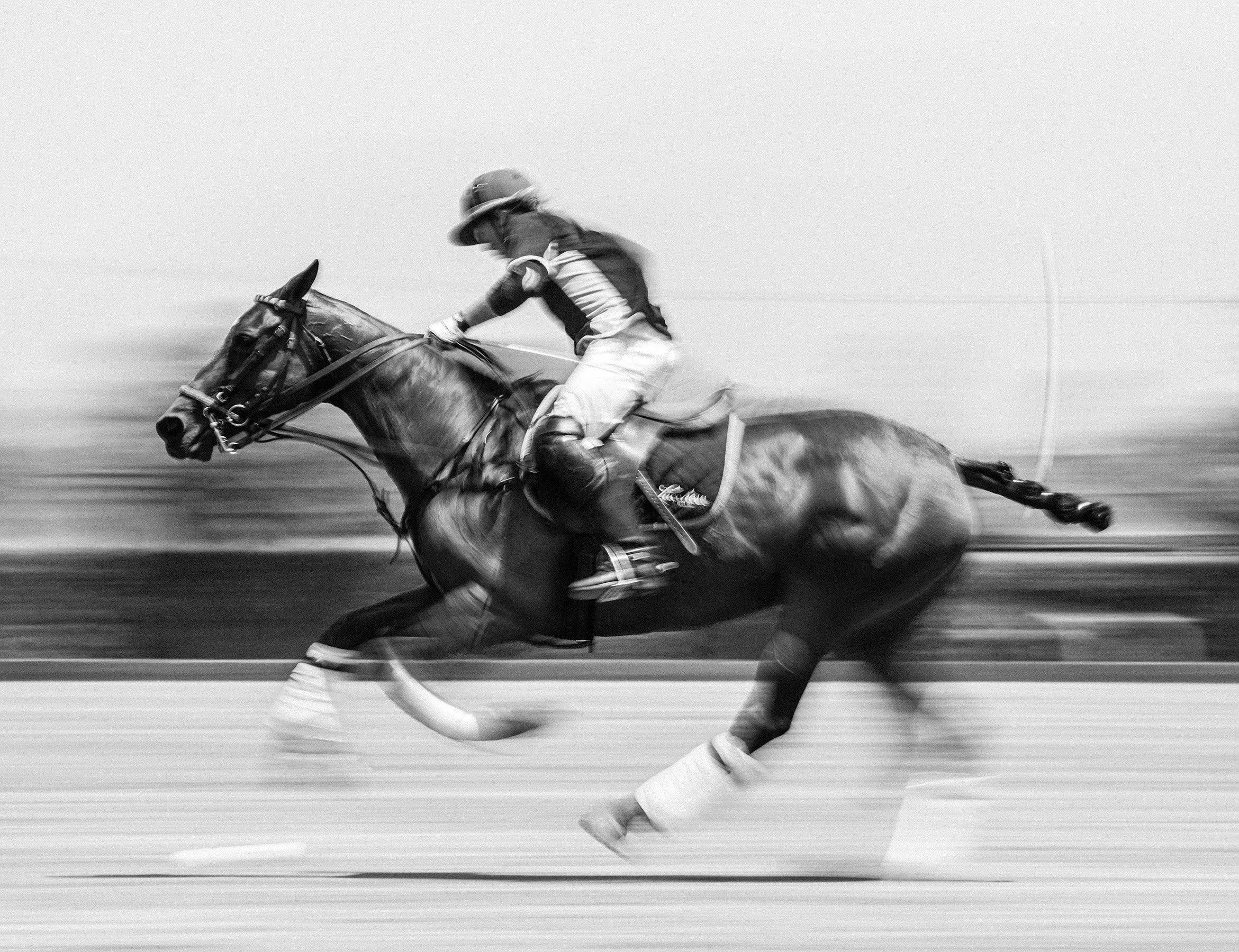 1POLO-4503.jpg